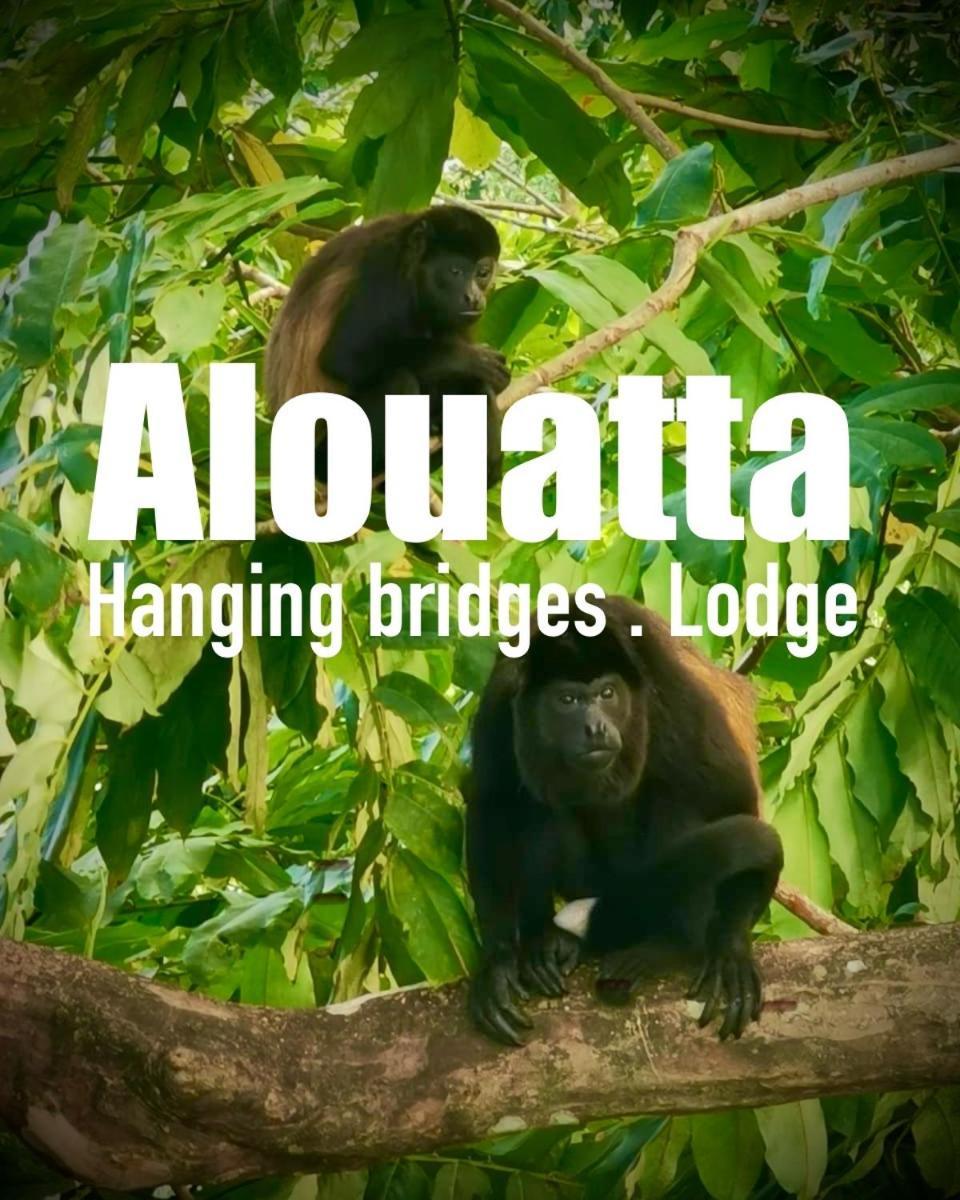 Lodge Alouatta And Canopy *