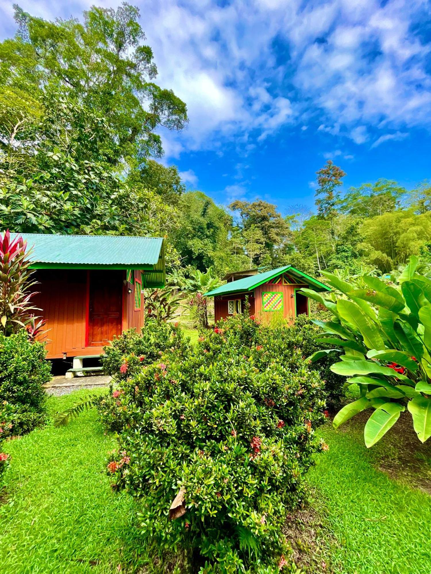 Lodge Alouatta And Canopy