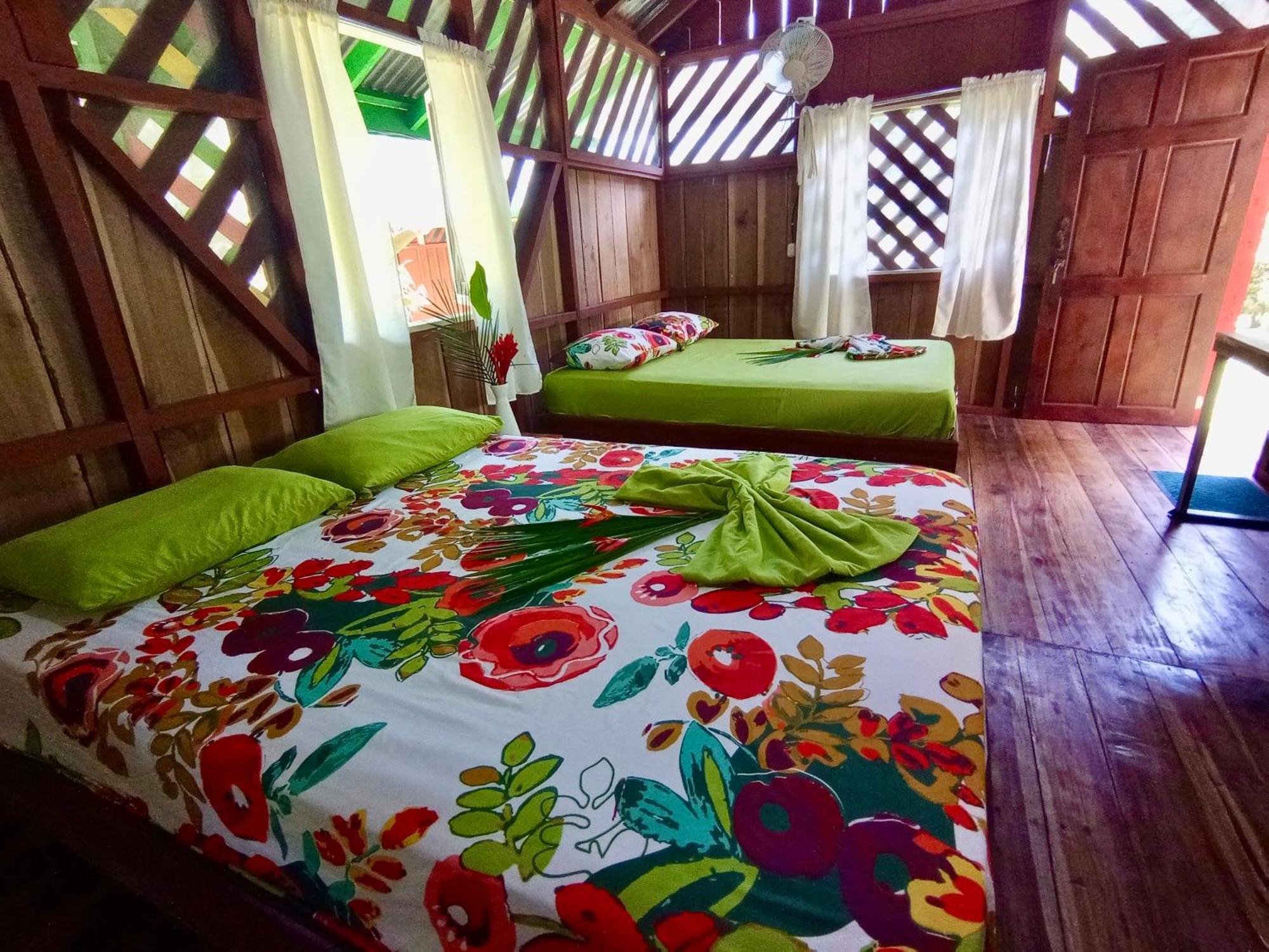 Lodge Alouatta And Canopy Cahuita