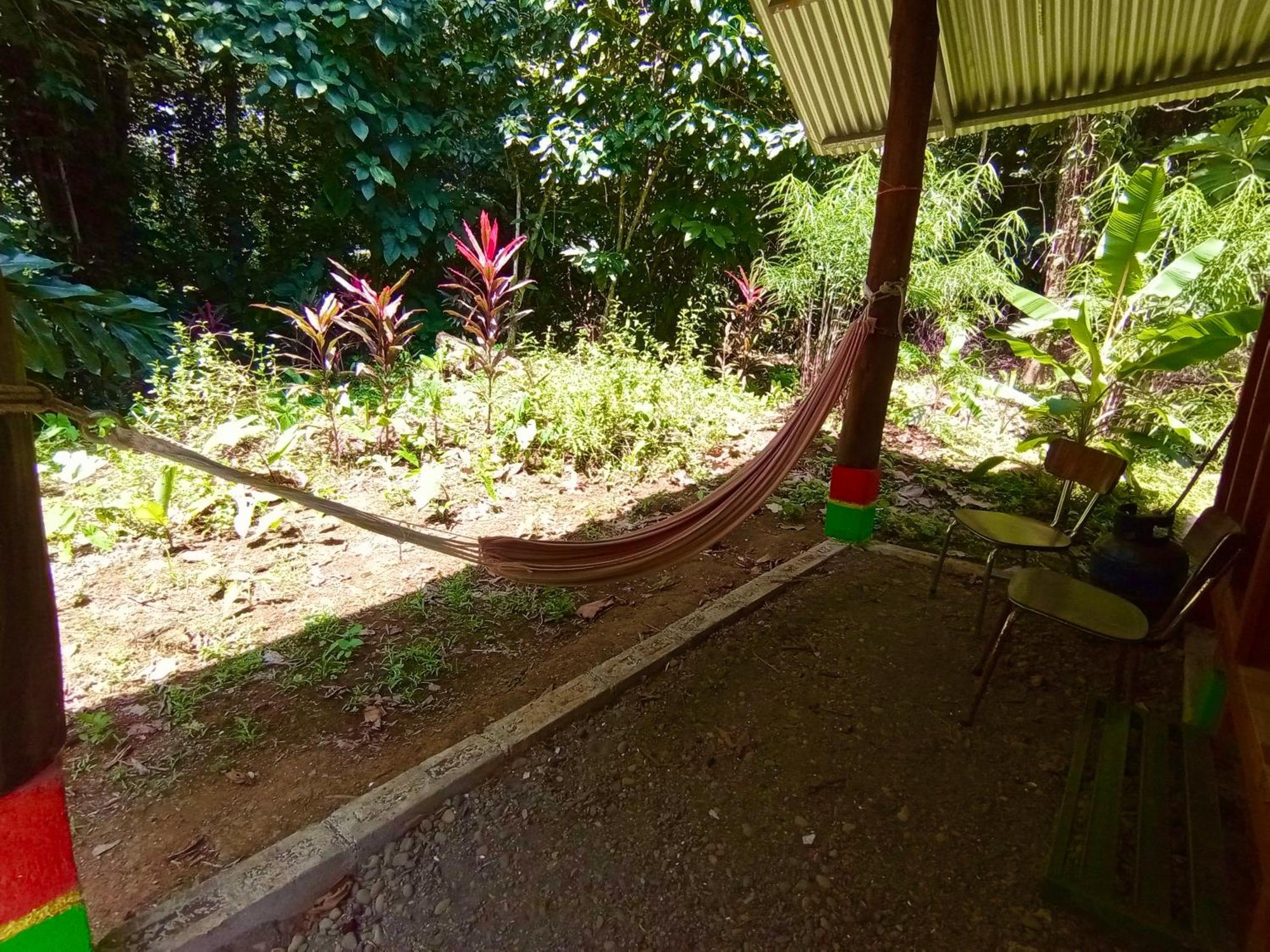 Lodge Alouatta And Canopy