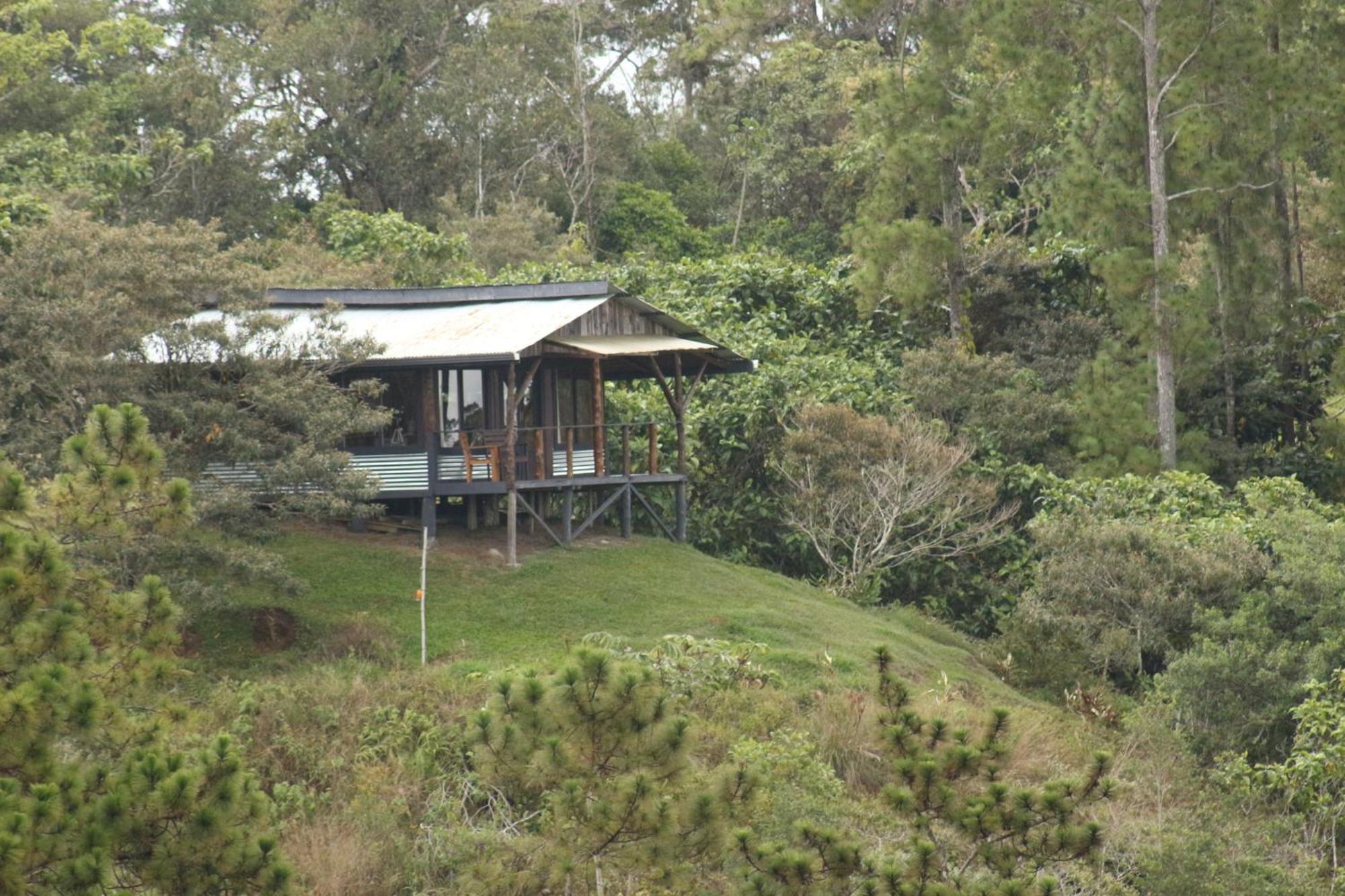Reventazon River Mountain Ranch Bed & Breakfast *