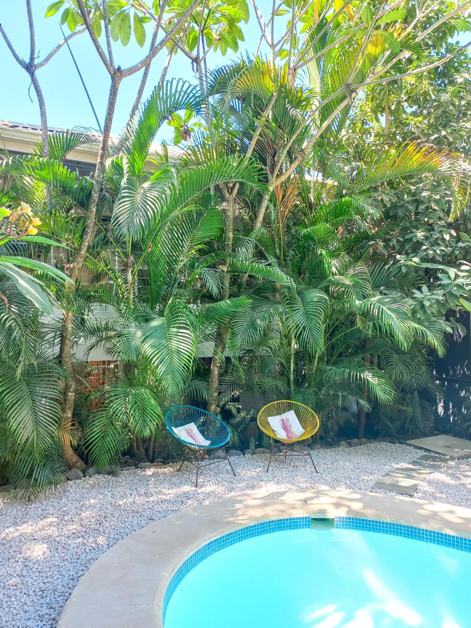 Calma Costa Rica *