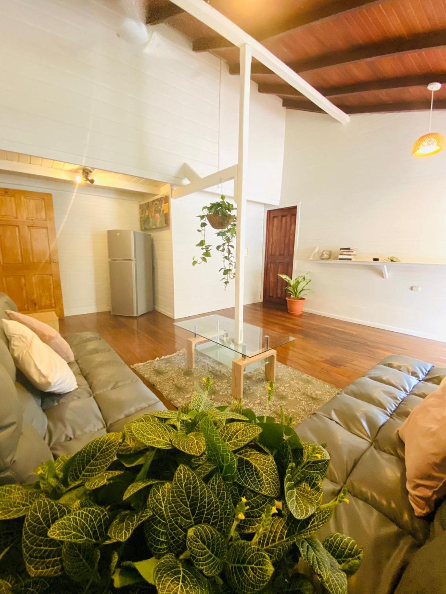 Inn Amimodobeachrooms