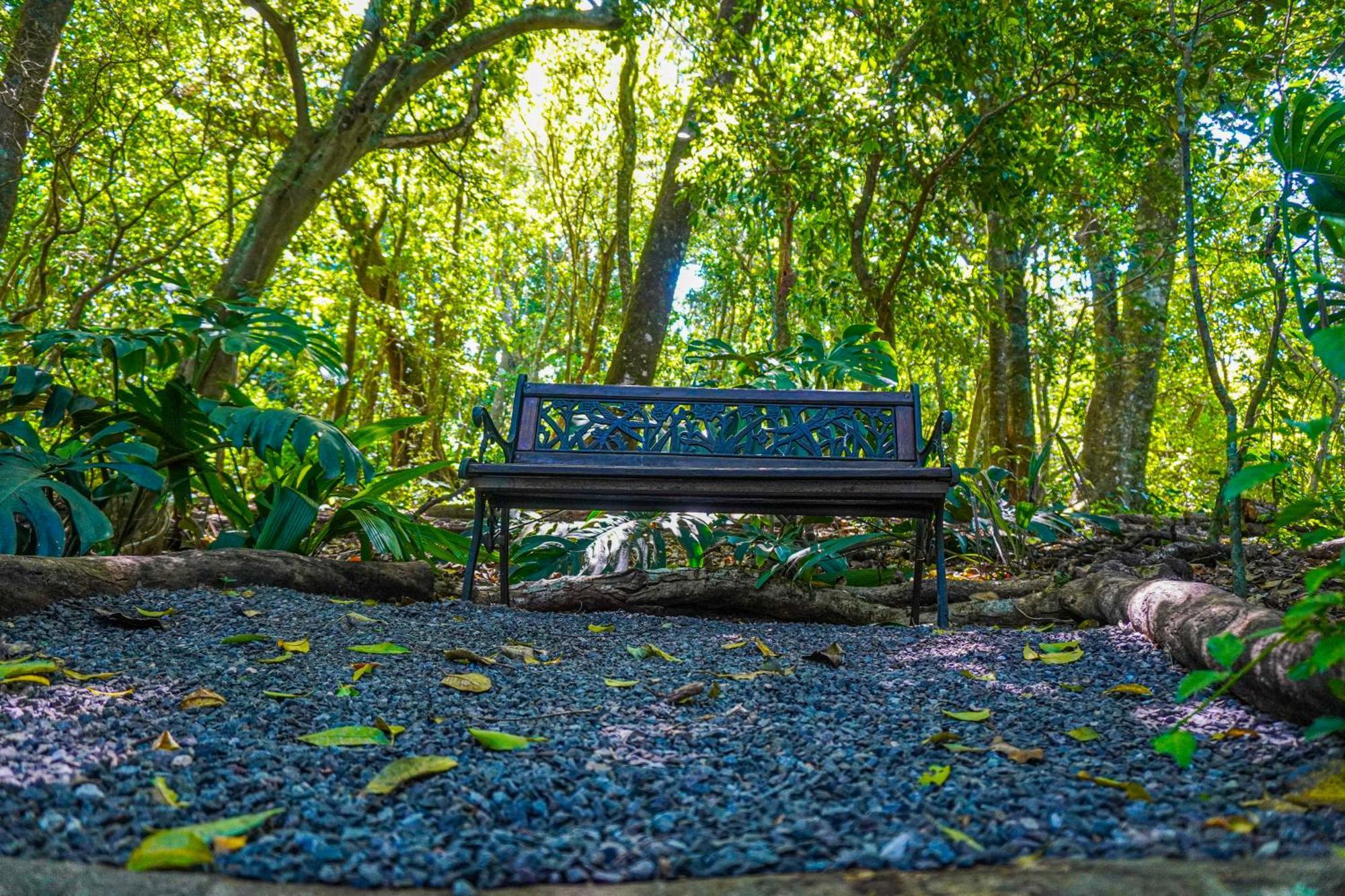 & Poco A Poco - Costa Rica