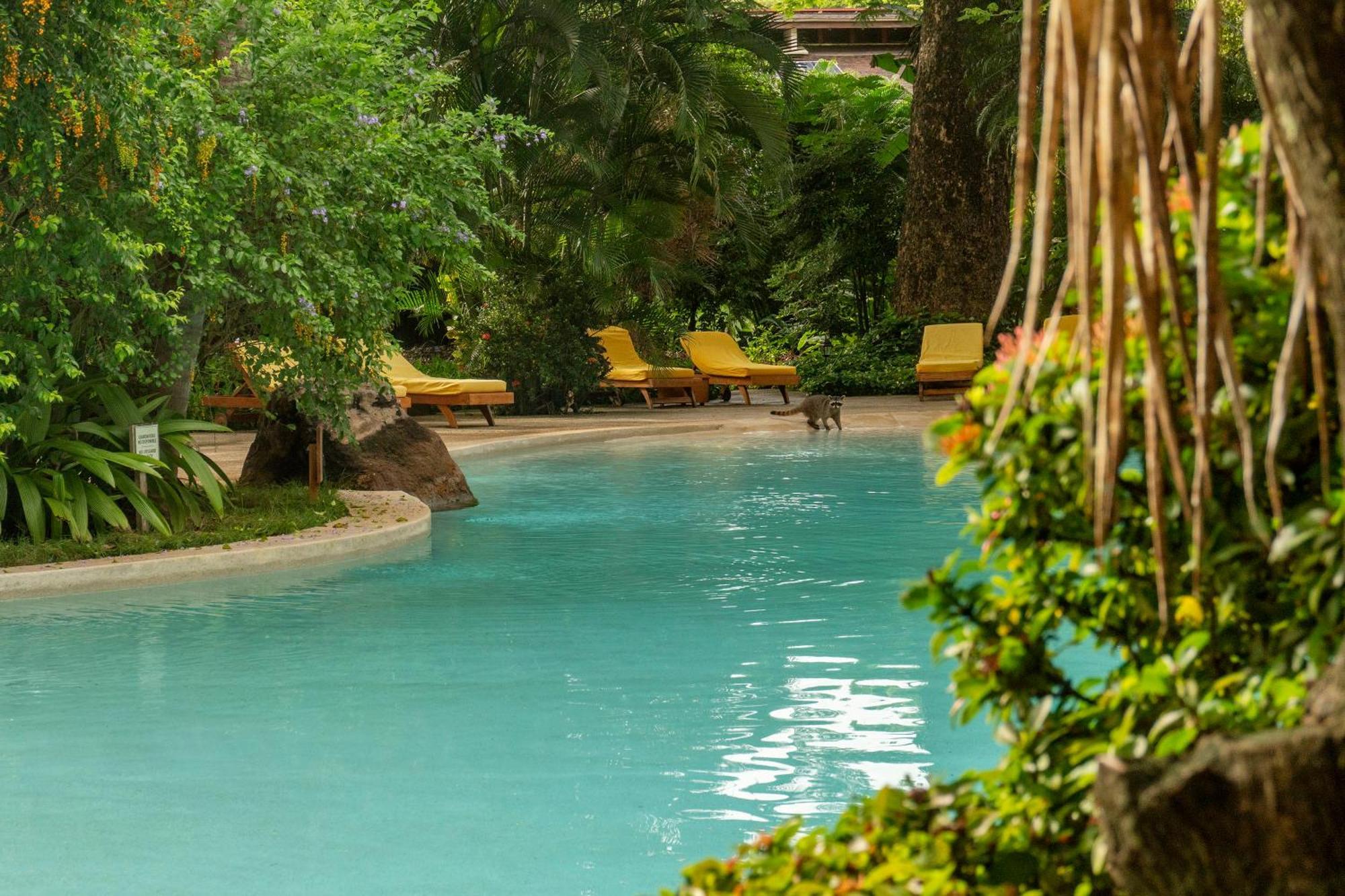 Capitan Suizo Beachfront Boutique Hotel