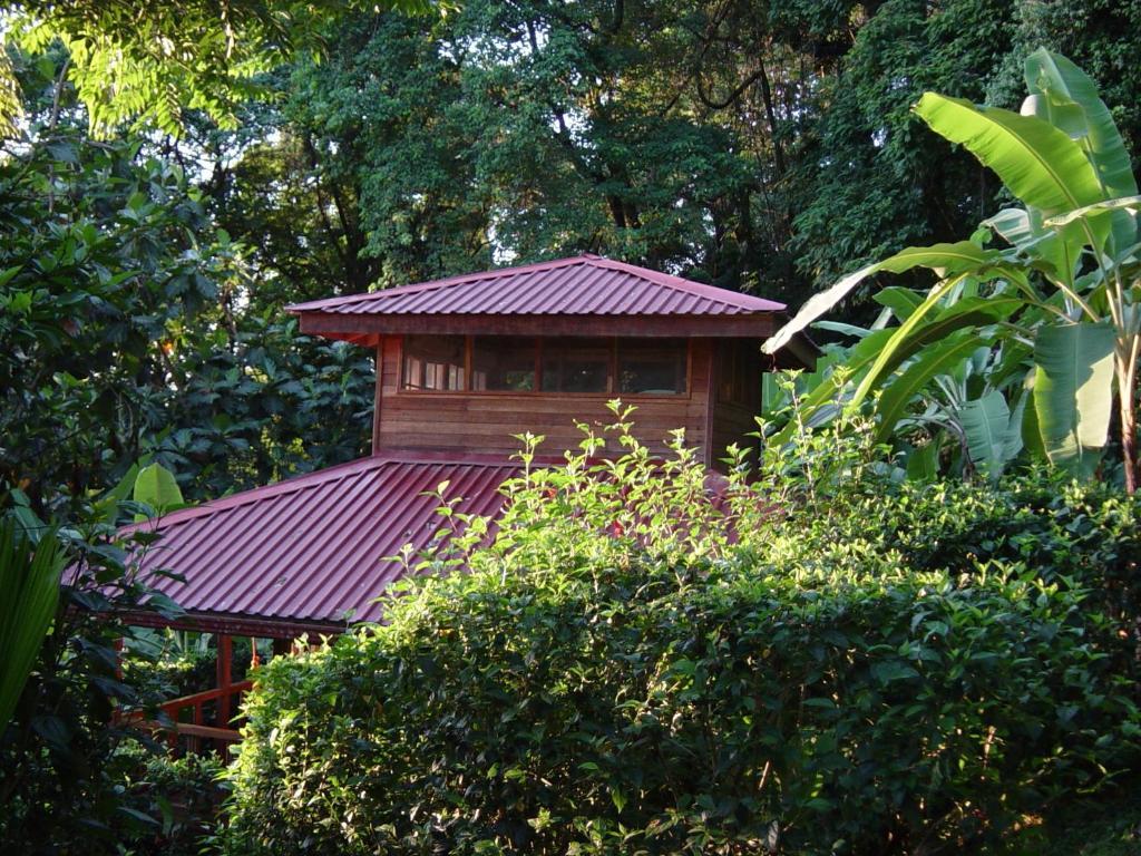 Hotel Samasati Yoga & Wellness Retreat Puerto Viejo de Talamanca