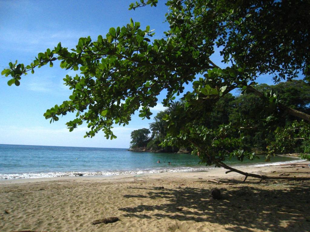 Samasati Yoga & Wellness Retreat 3* Puerto Viejo de Talamanca