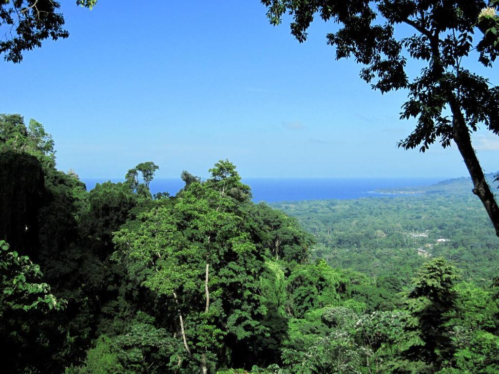 Samasati Yoga & Wellness Retreat 3*