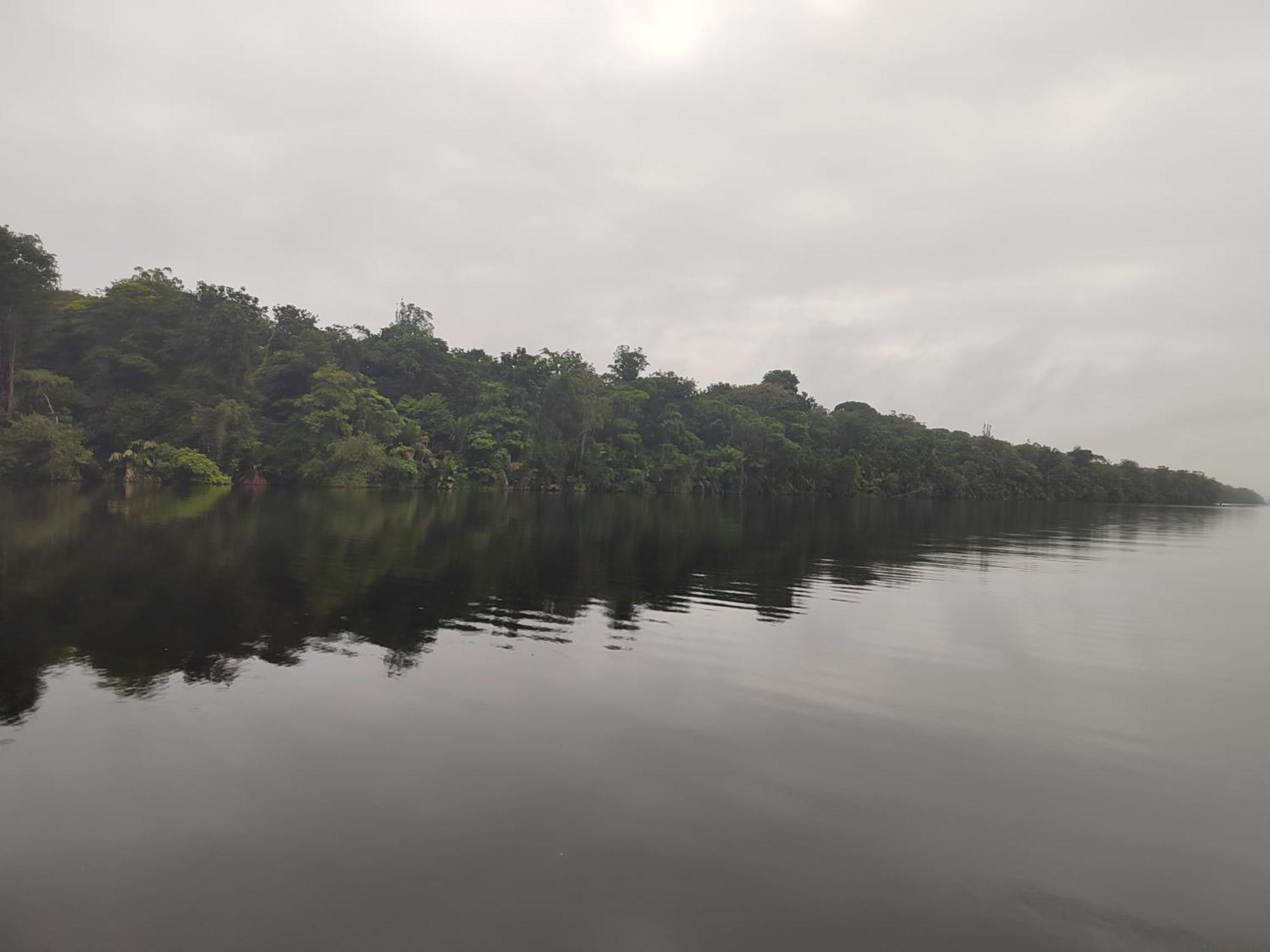 Meryscar Tortuguero