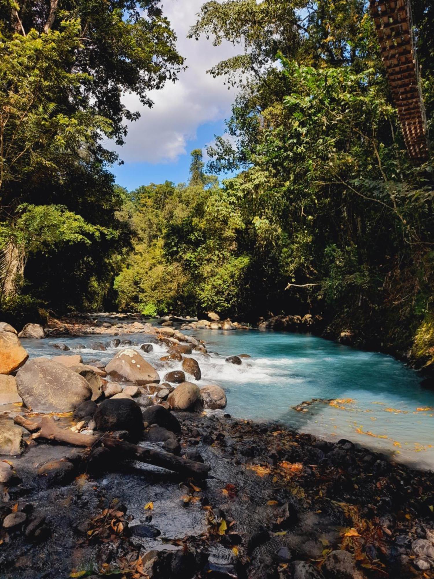 Lodge Onca Tours & Treehouses