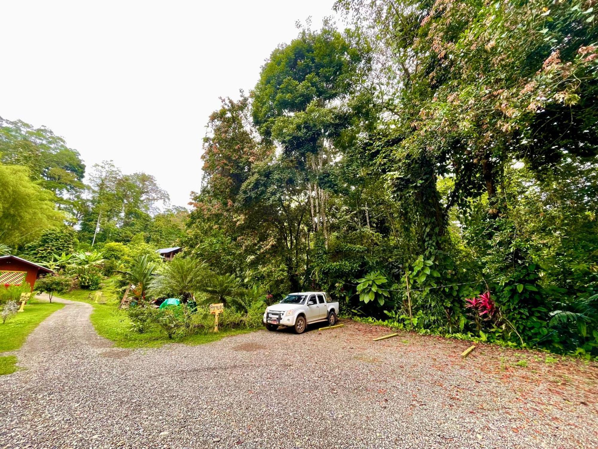 Lodge Alouatta And Canopy *