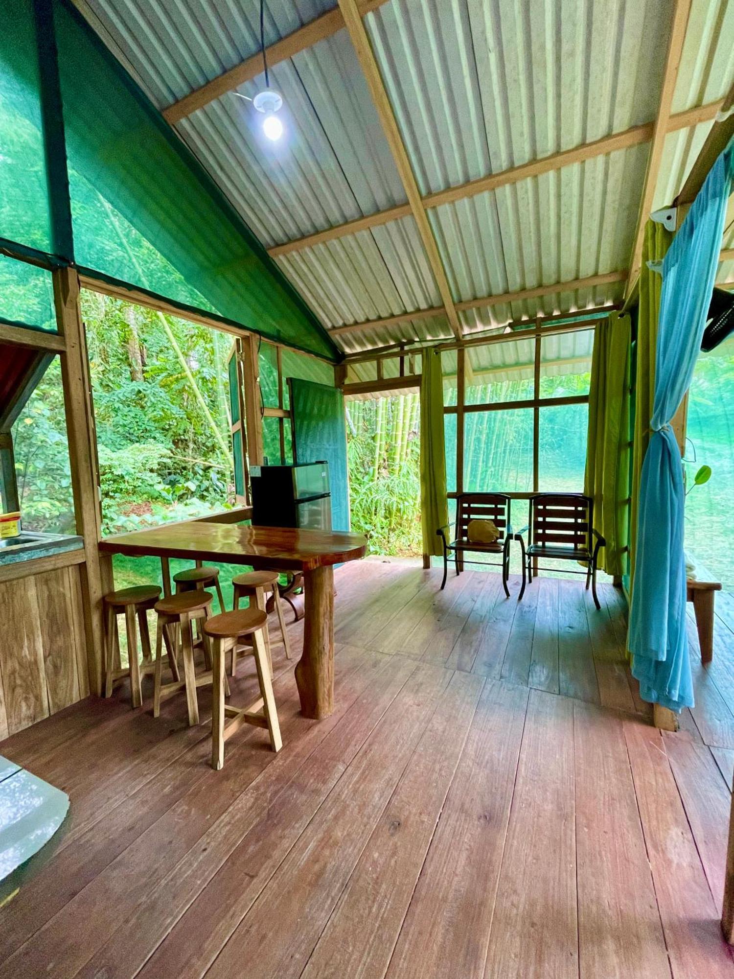 Alouatta And Canopy *