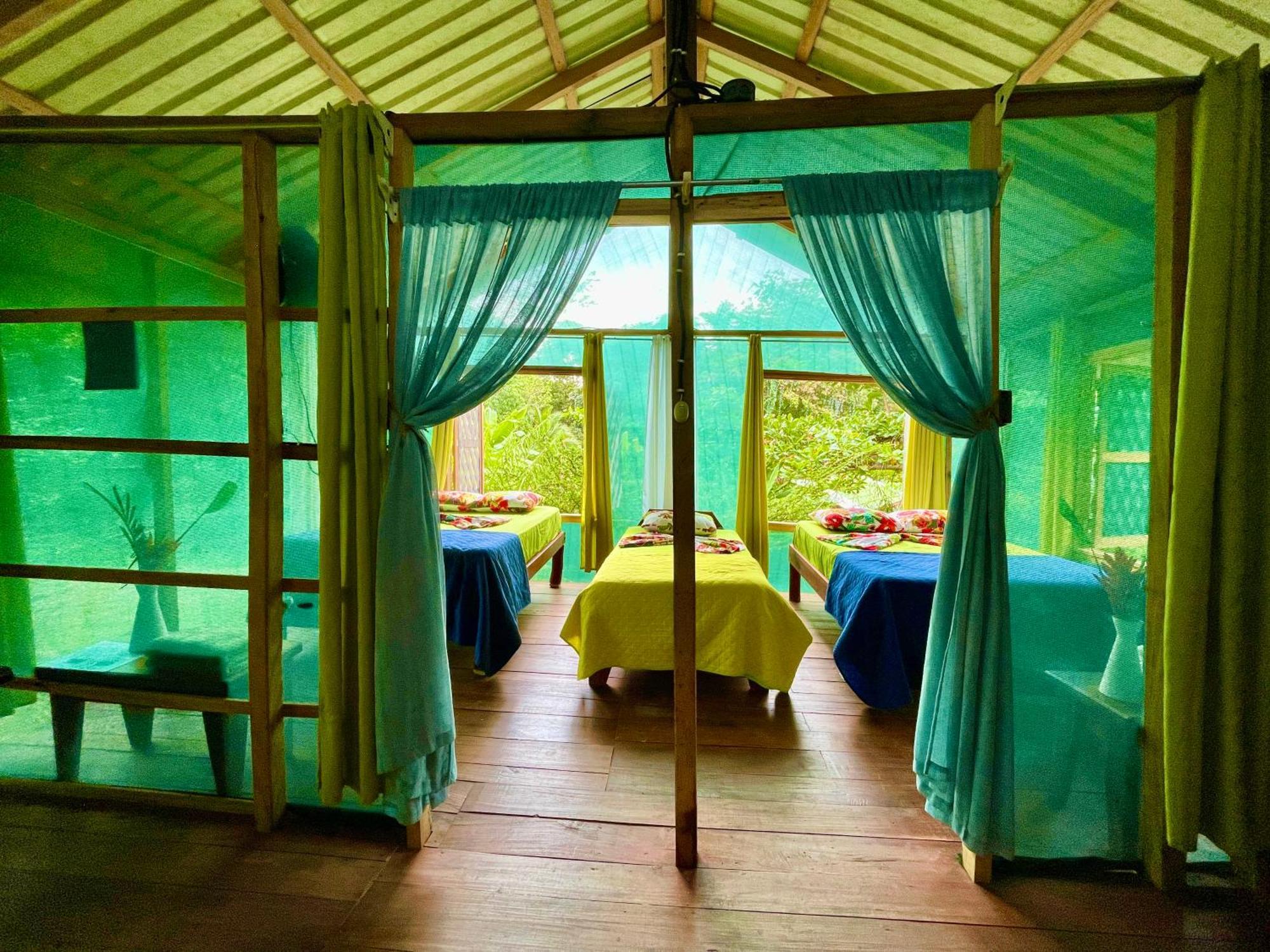 Alouatta And Canopy Lodge