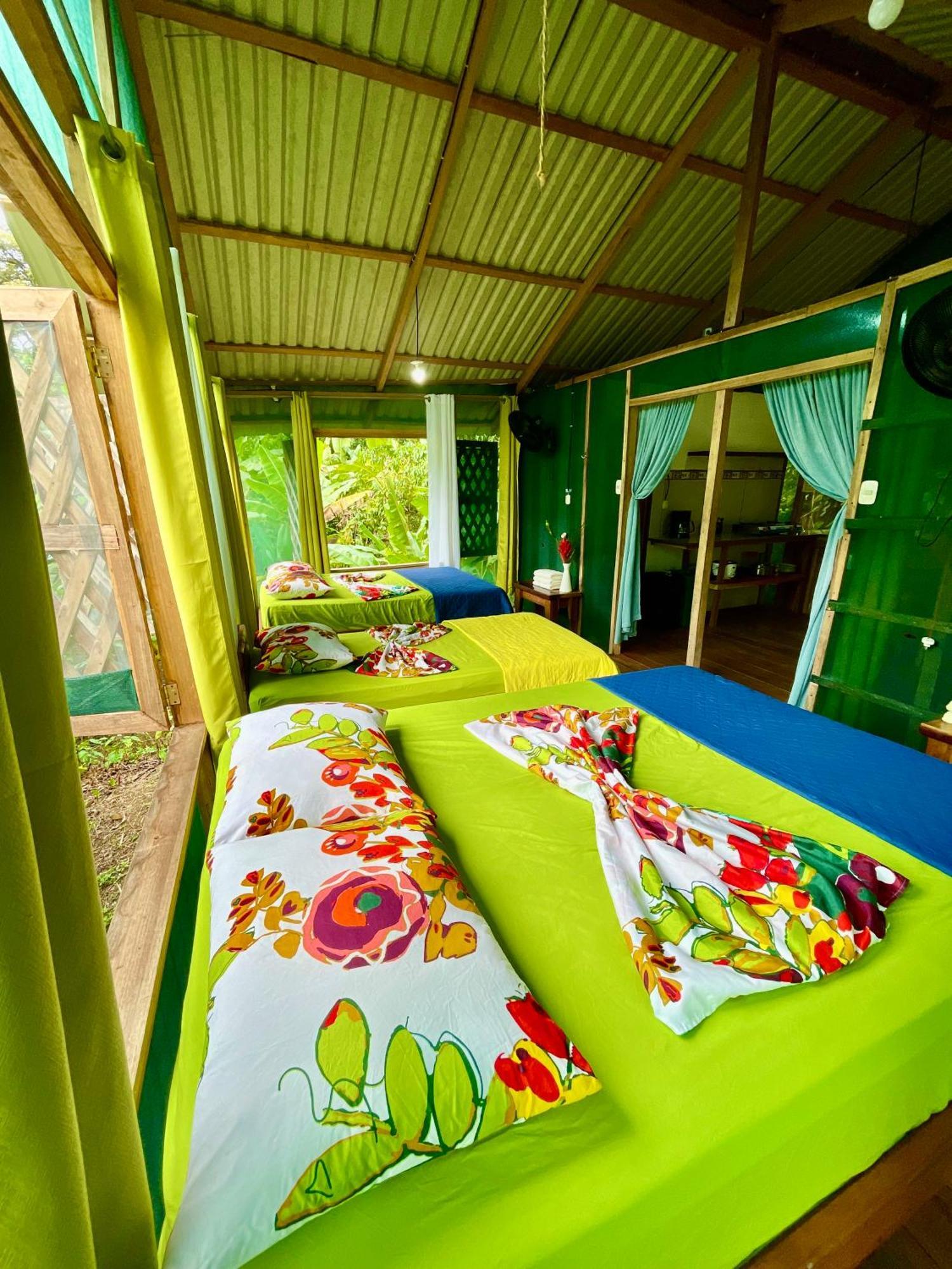 Lodge Alouatta And Canopy