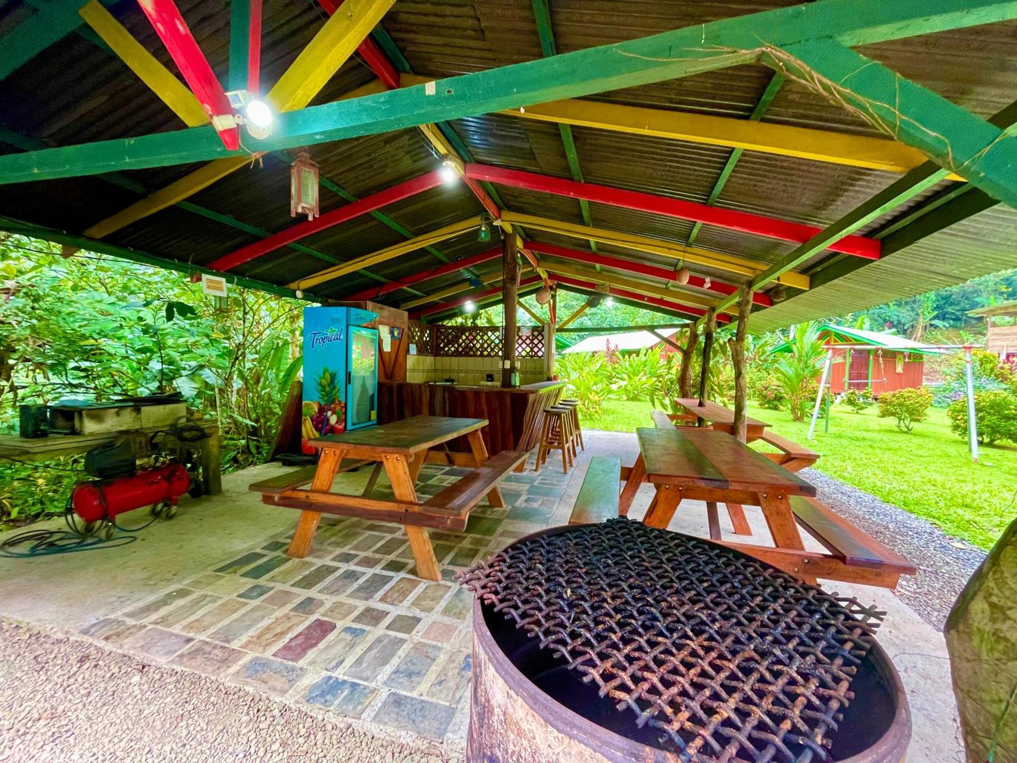 Alouatta And Canopy Lodge Cahuita