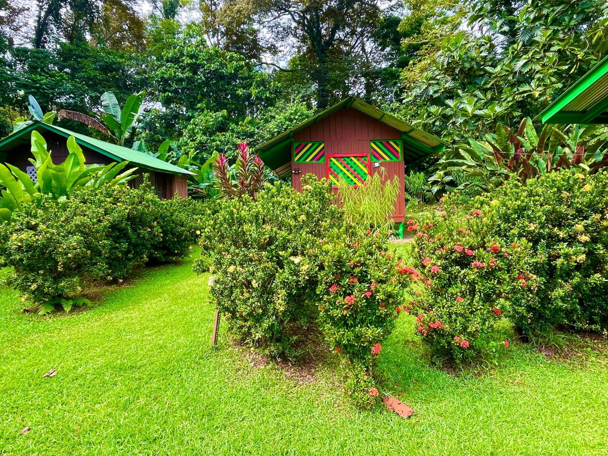 Lodge Alouatta And Canopy *