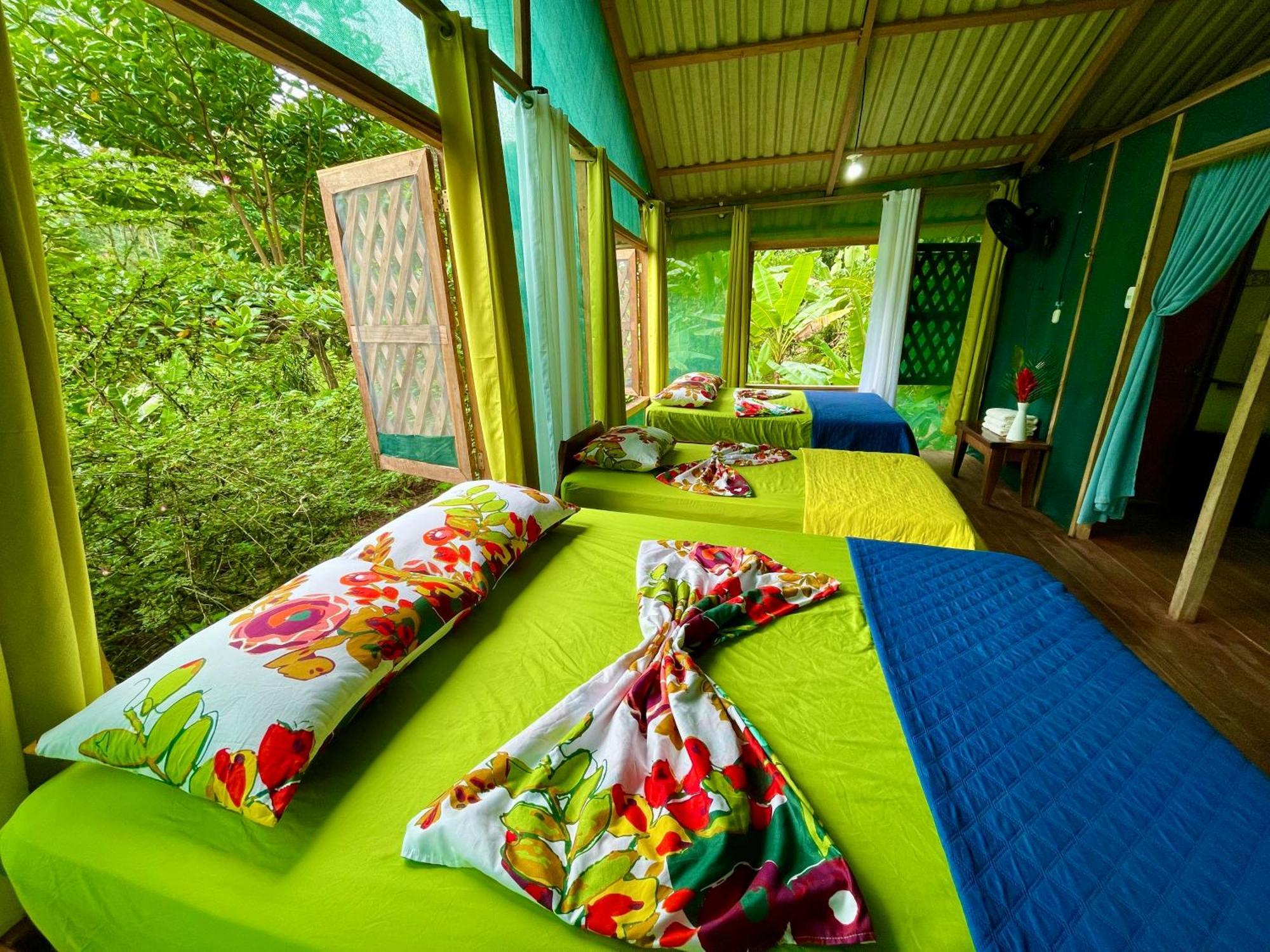 Alouatta And Canopy Lodge Cahuita