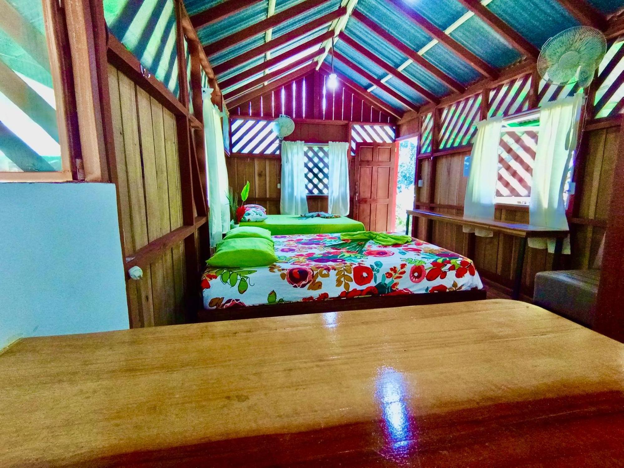 Alouatta And Canopy Lodge