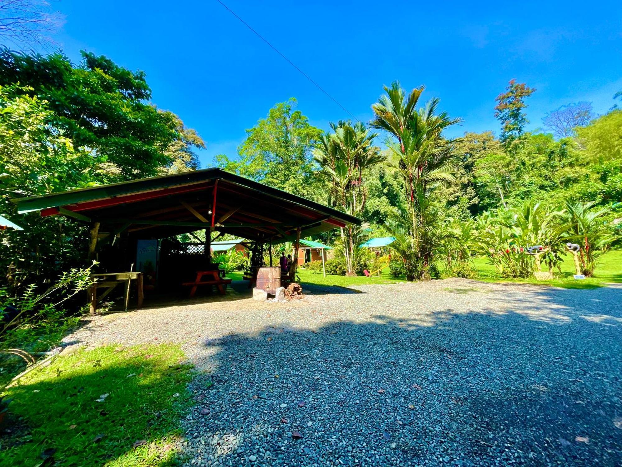 Alouatta And Canopy Lodge