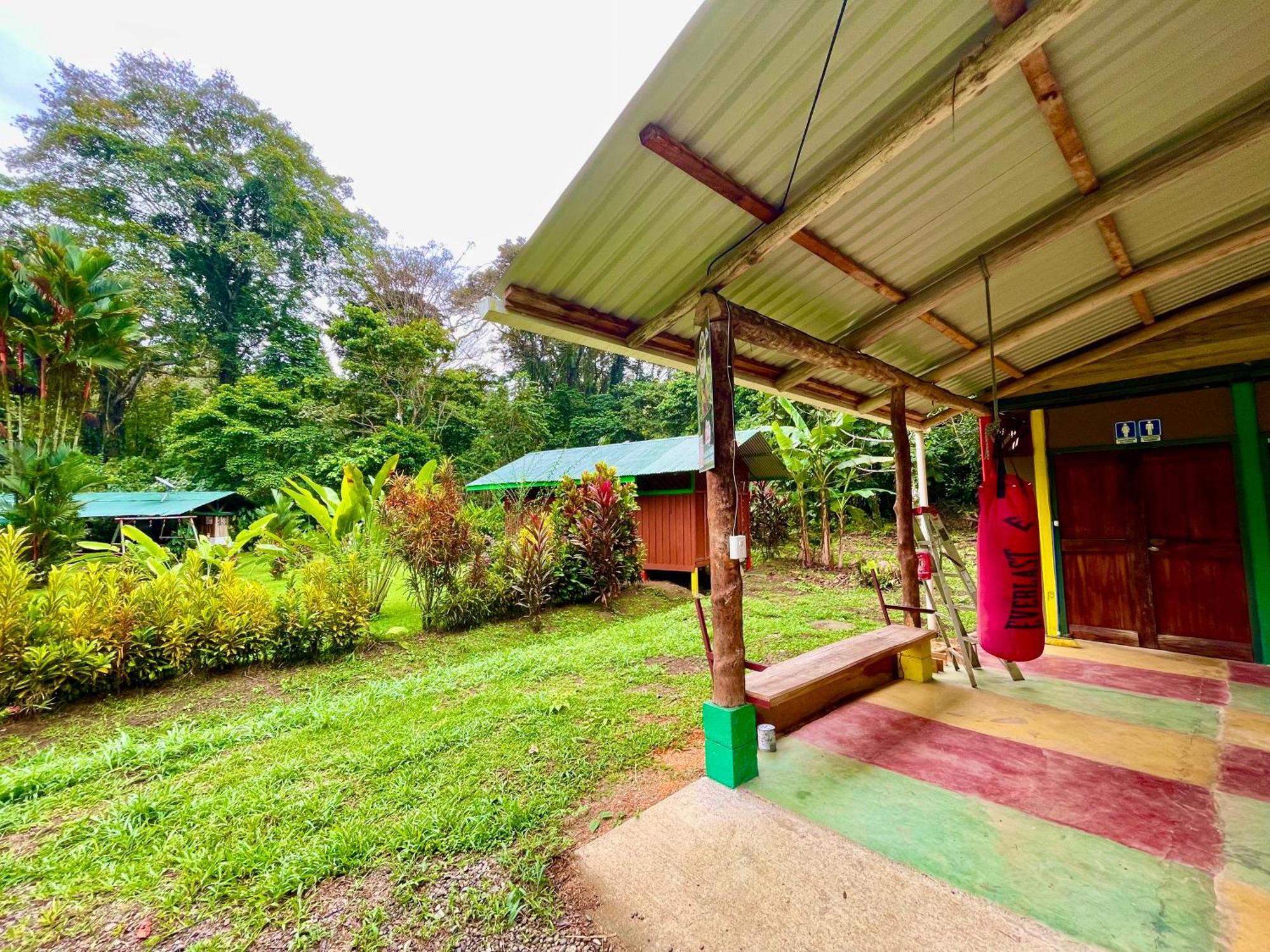 Alouatta And Canopy * Cahuita