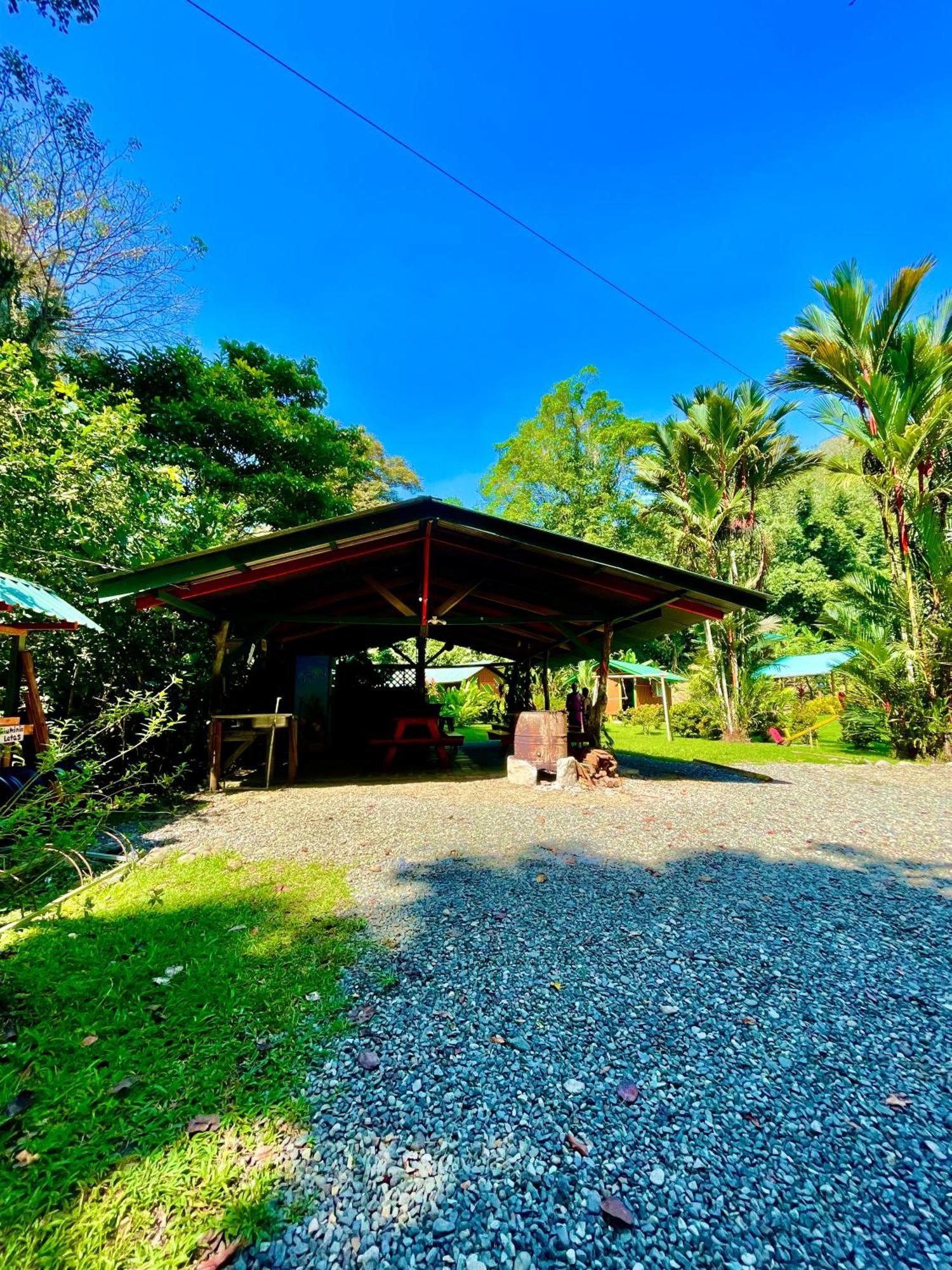 Lodge Alouatta And Canopy *