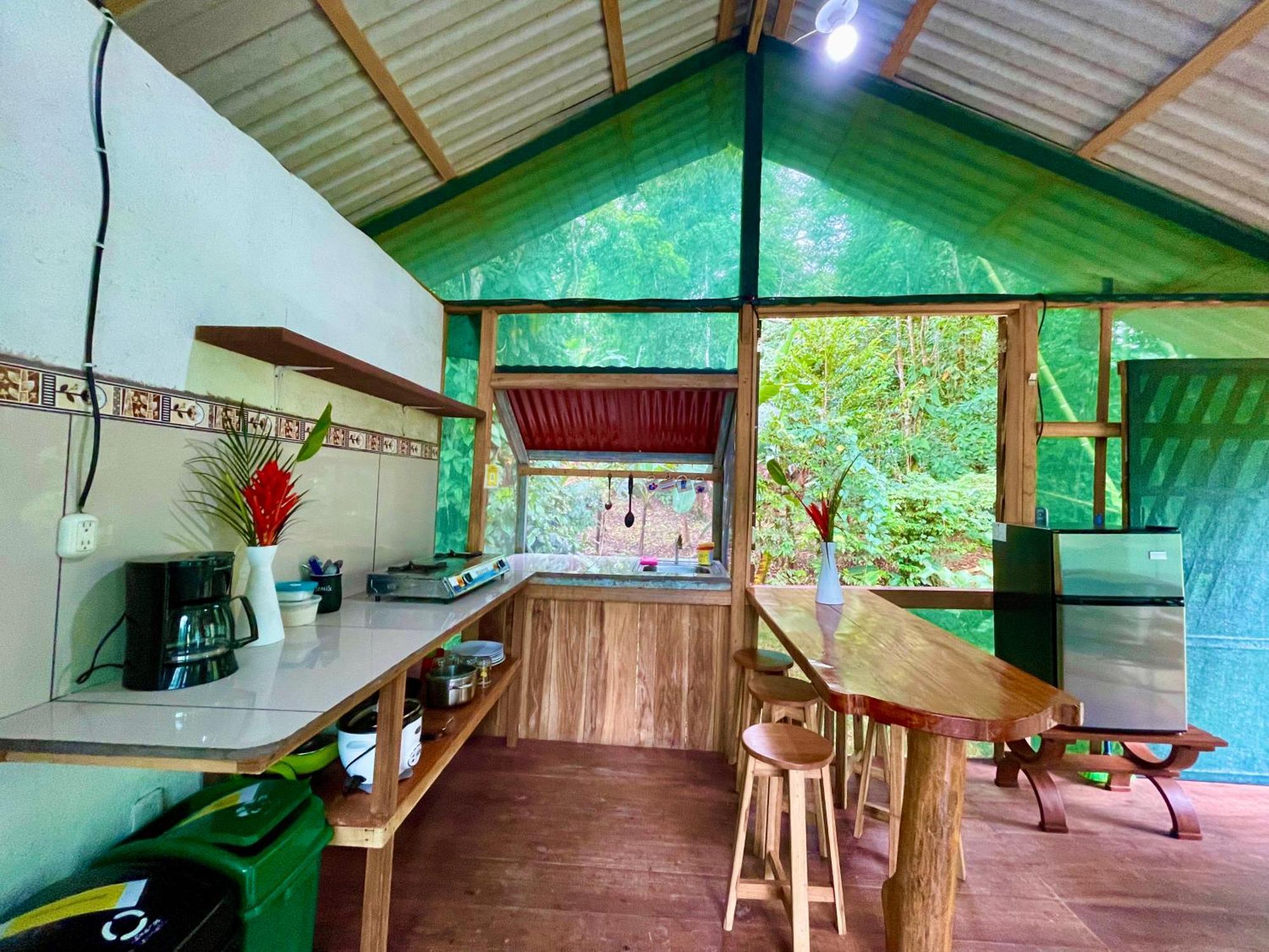 Alouatta And Canopy