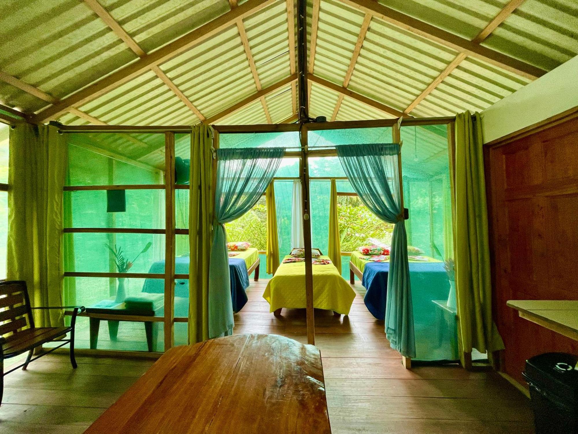 Alouatta And Canopy *