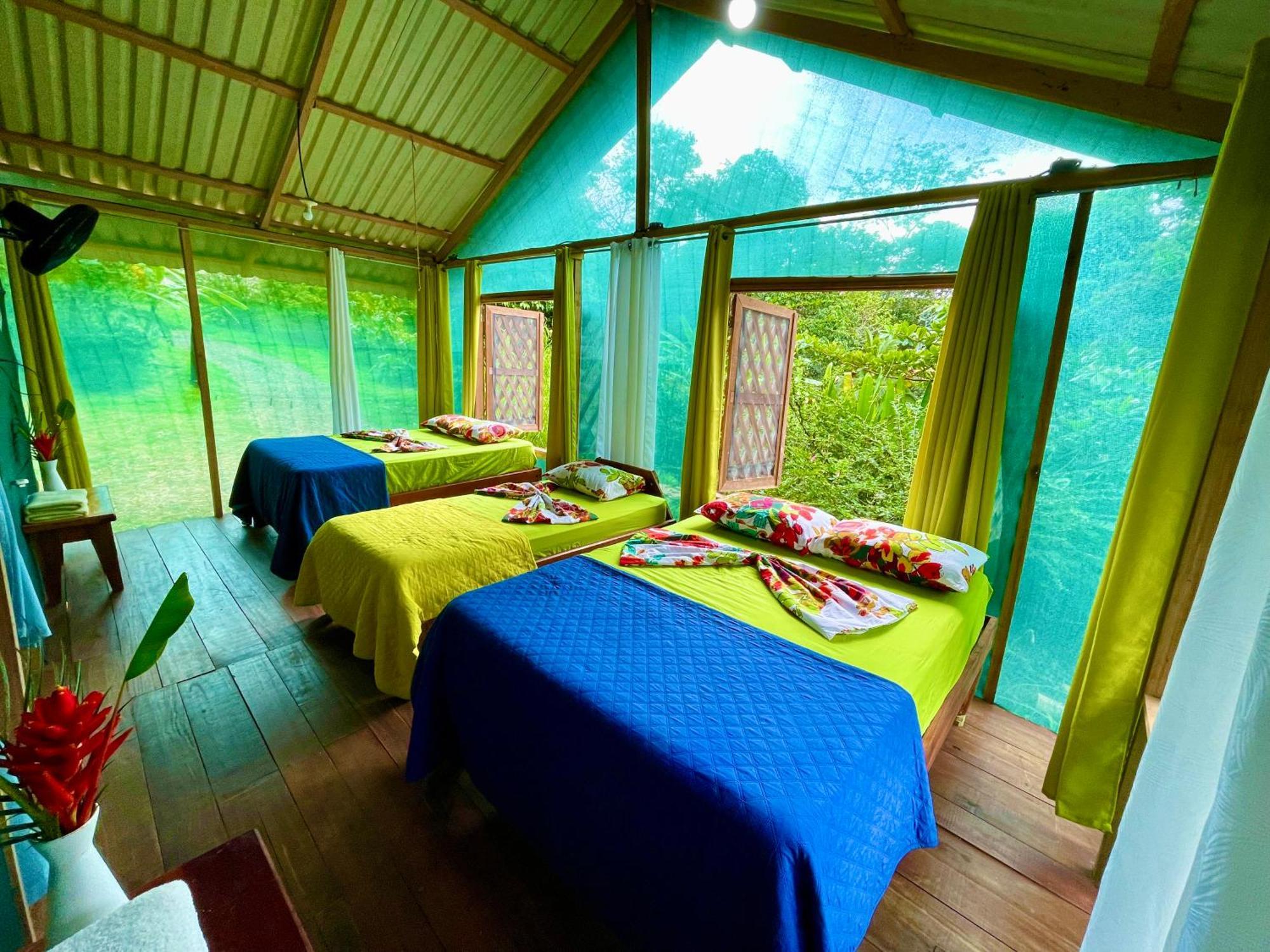 Alouatta And Canopy Lodge *