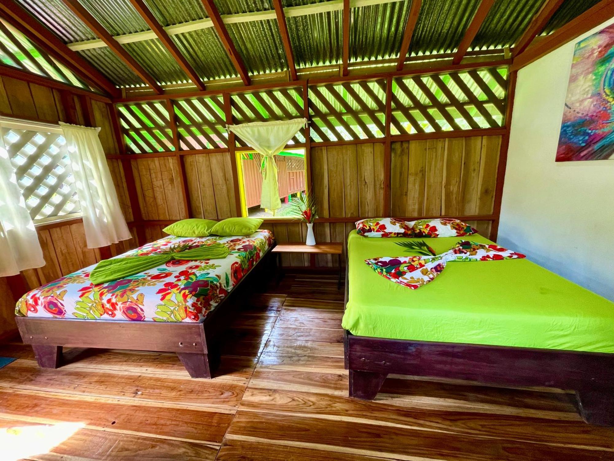 Alouatta And Canopy Lodge Cahuita
