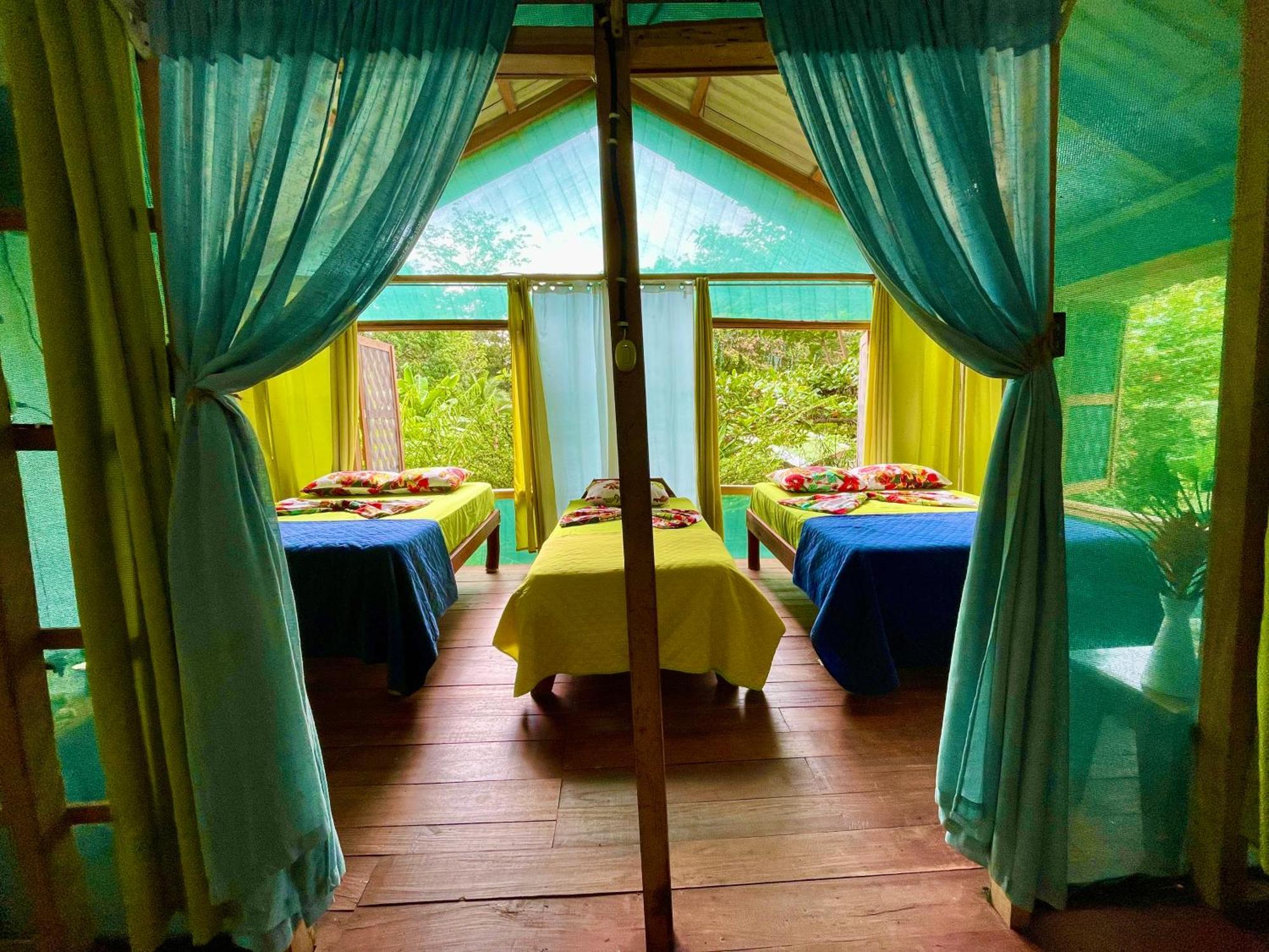Alouatta And Canopy Lodge