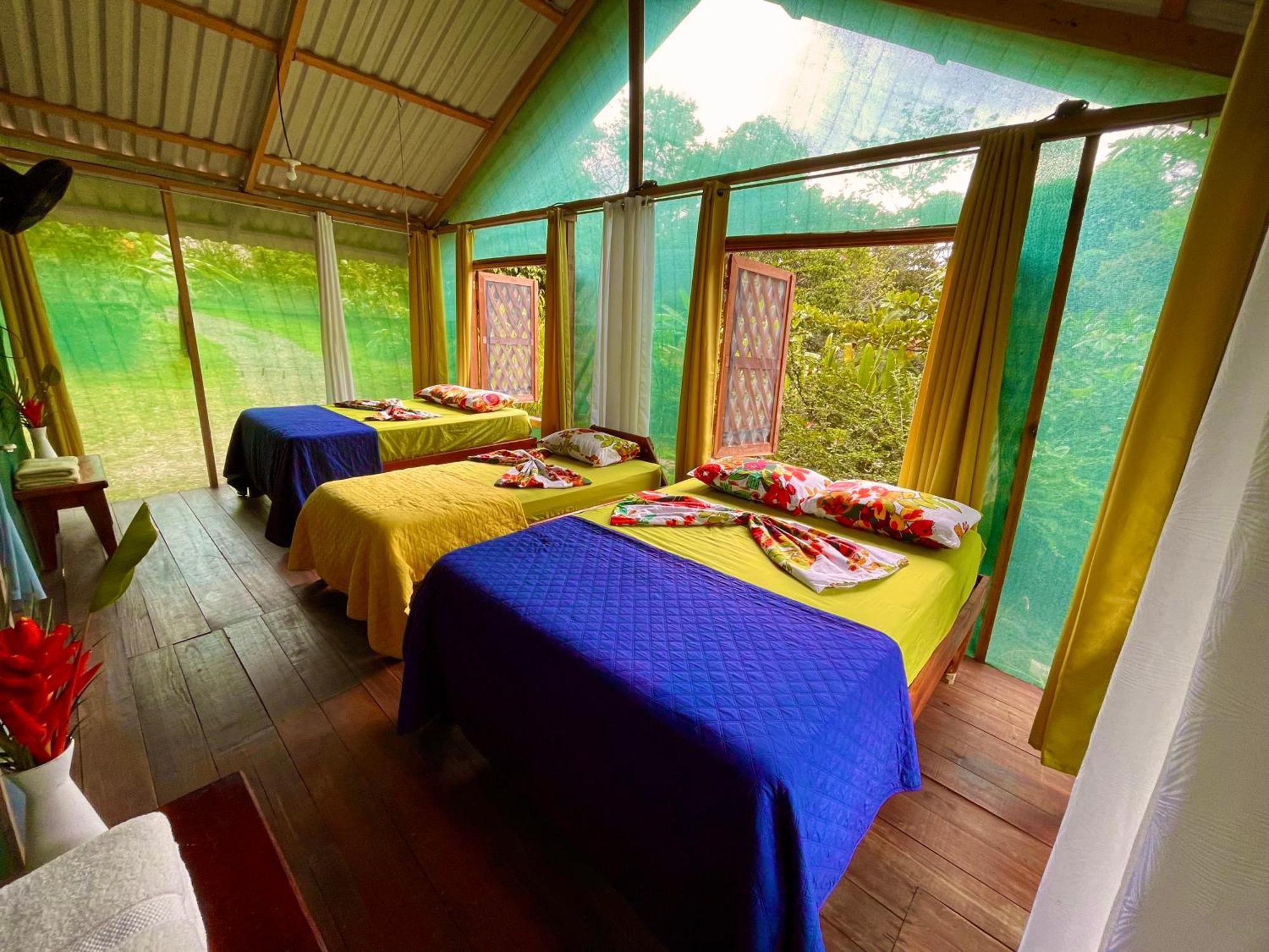 Lodge Alouatta And Canopy Cahuita
