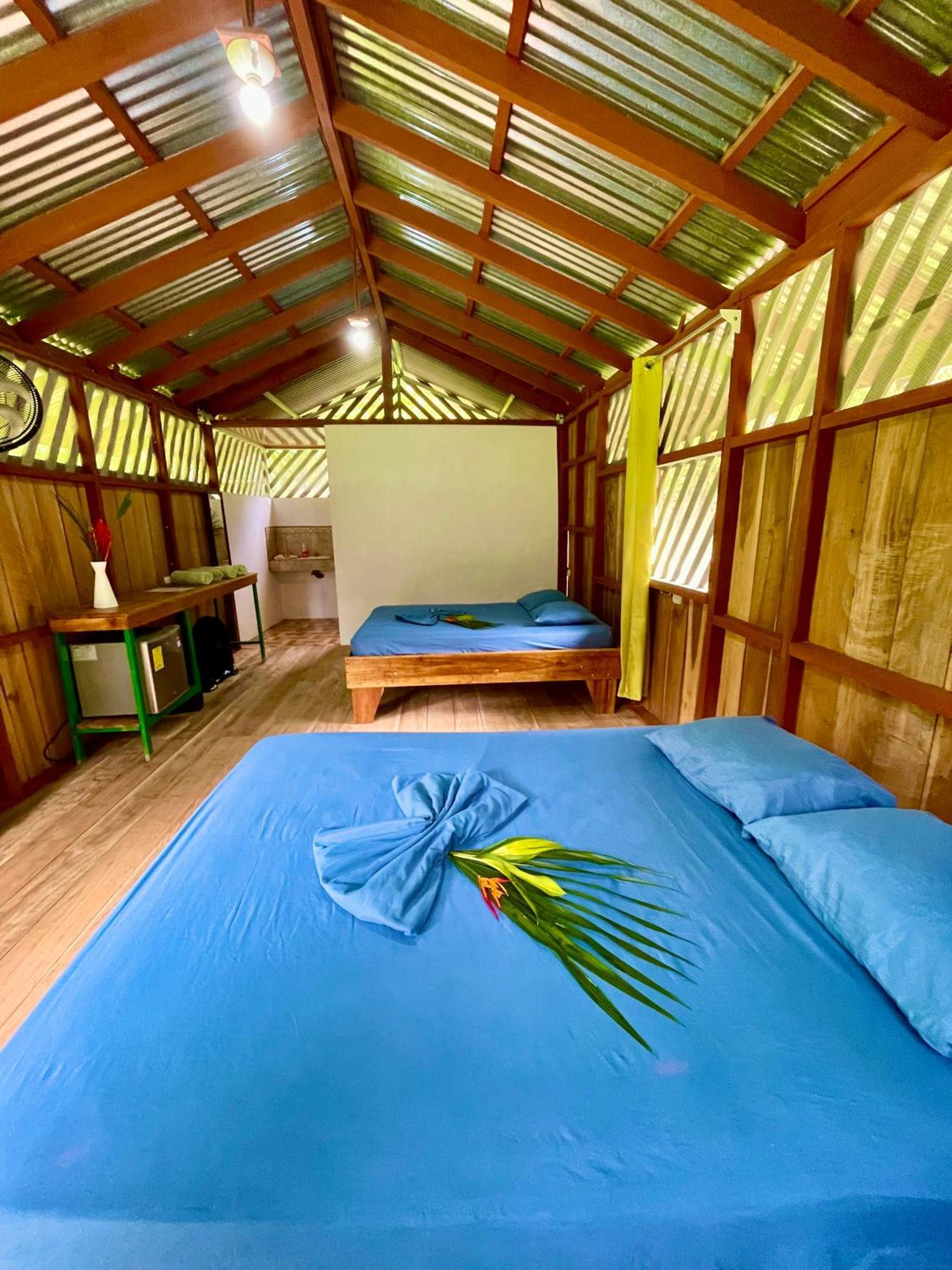 Alouatta And Canopy Lodge *