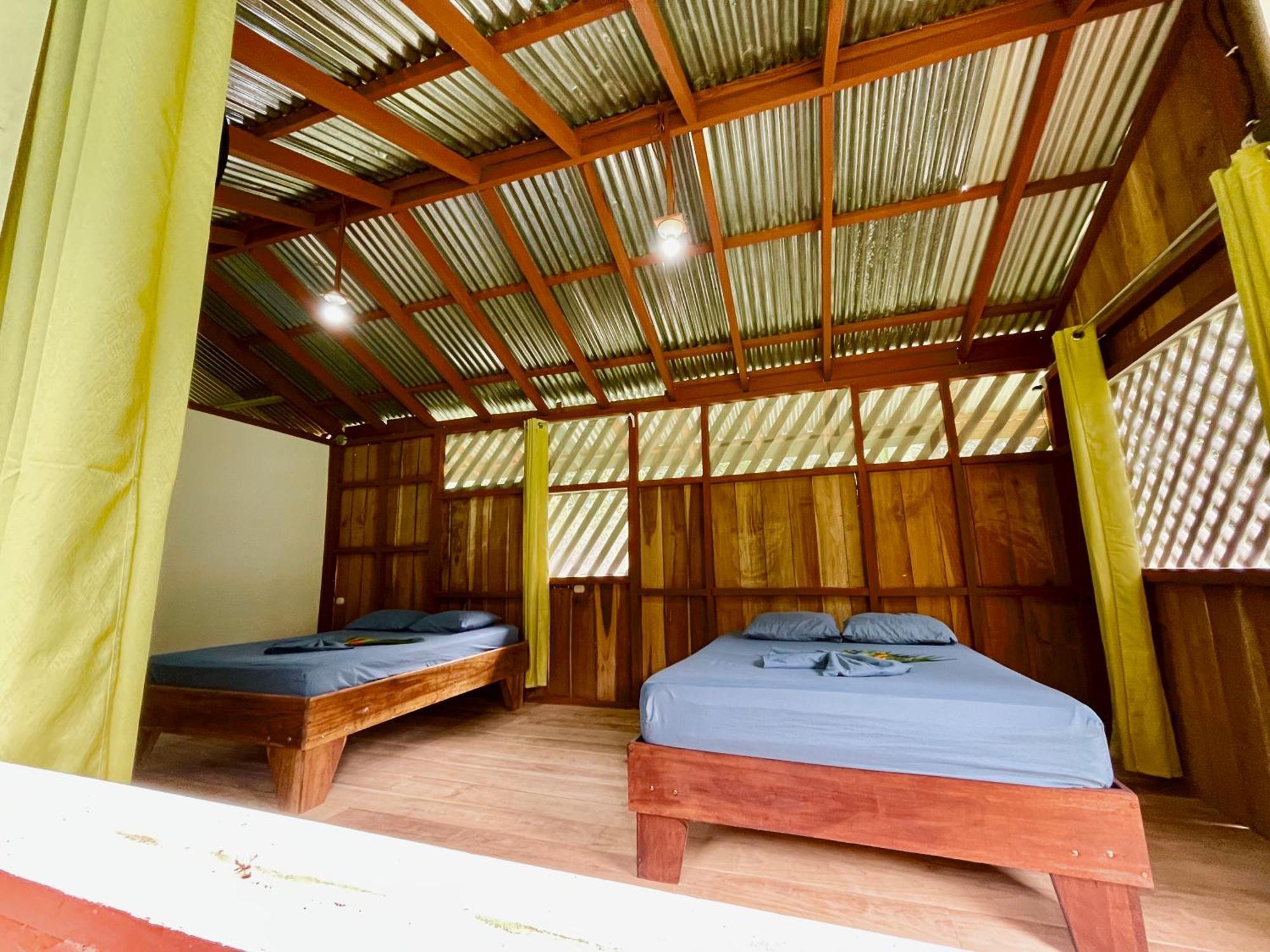 Alouatta And Canopy Lodge
