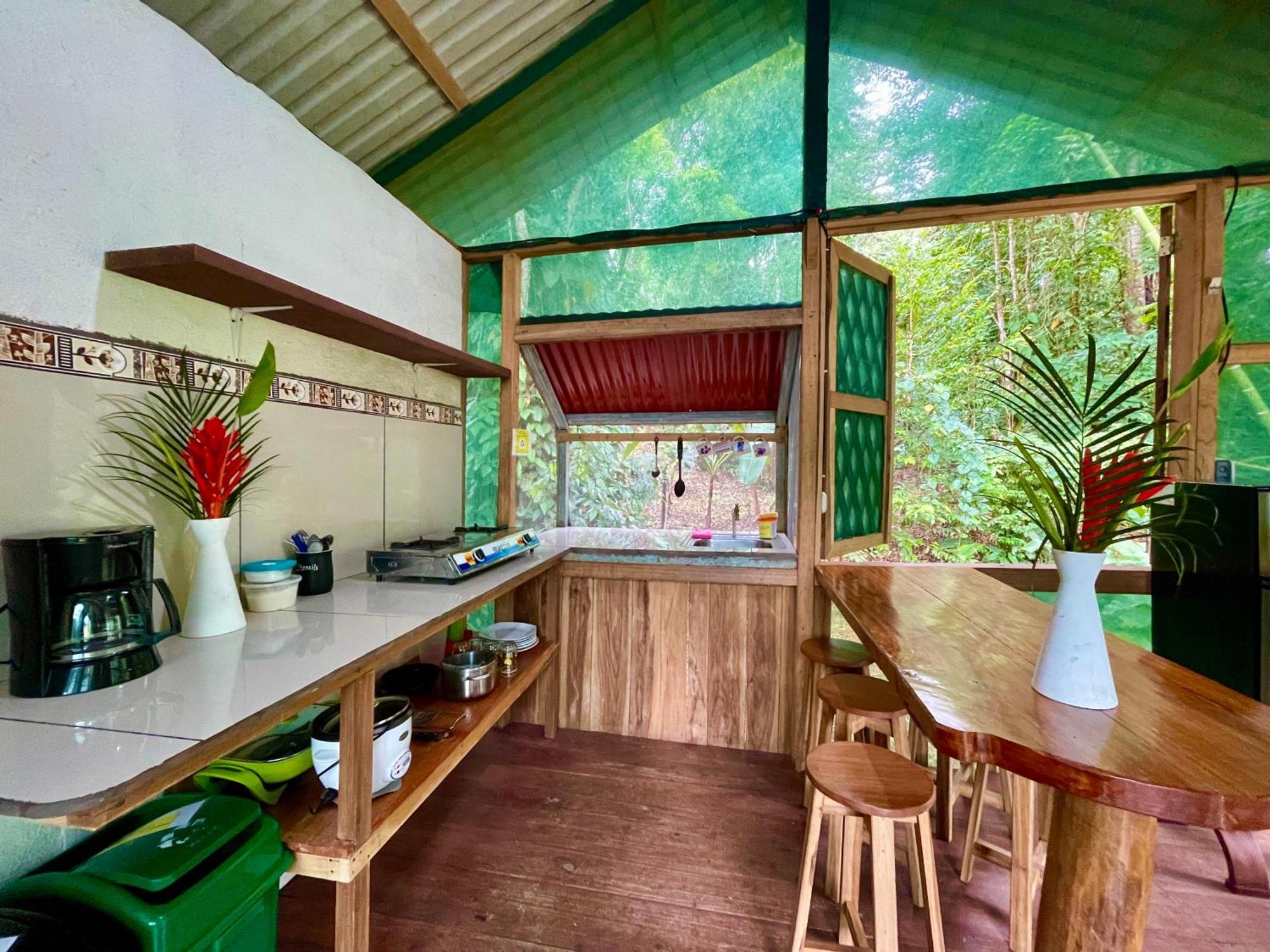 Alouatta And Canopy Lodge Cahuita