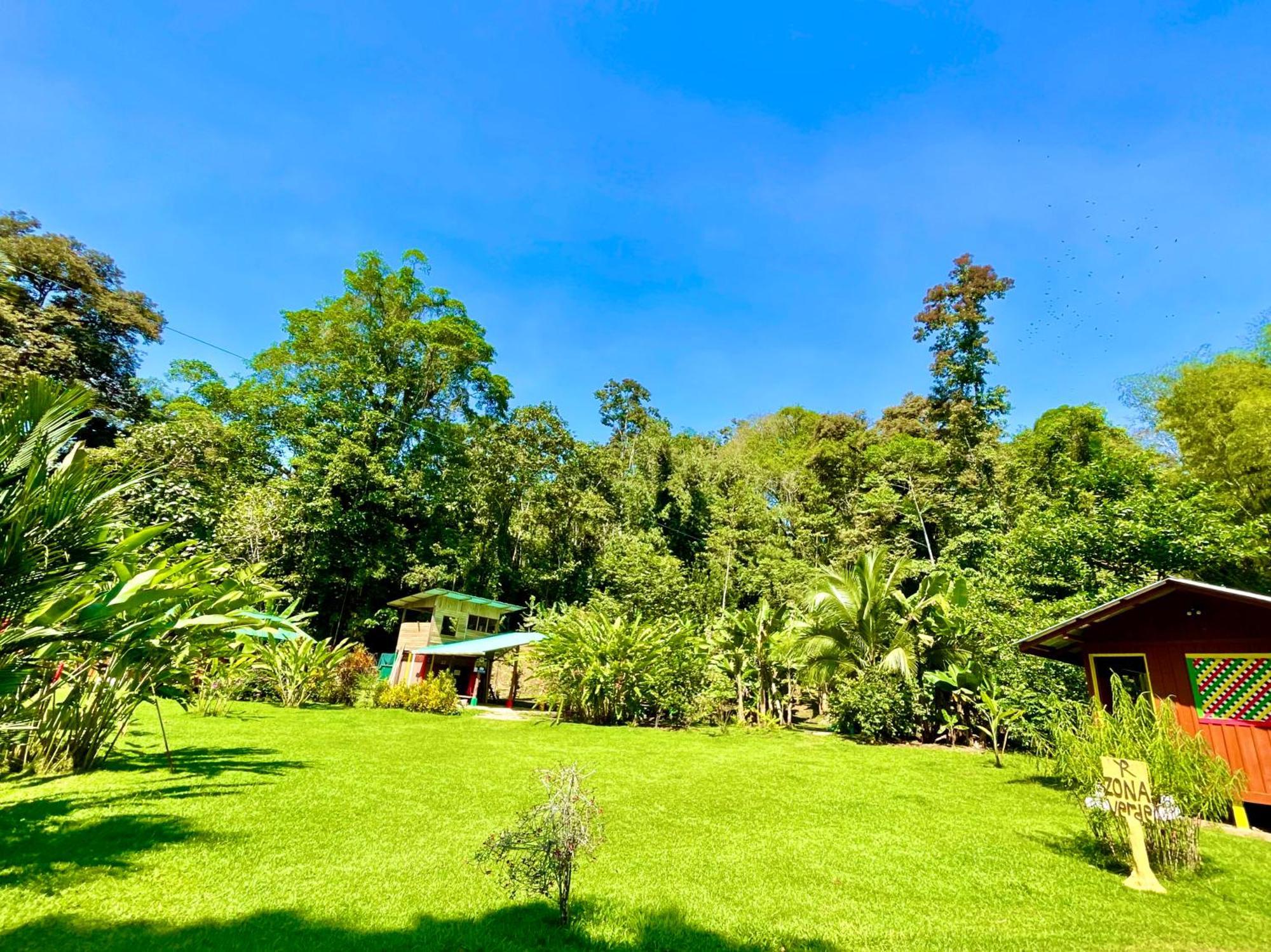 Alouatta And Canopy Lodge