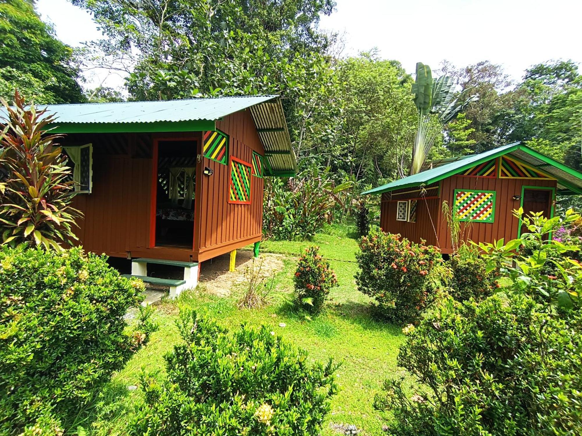 Alouatta And Canopy Lodge *