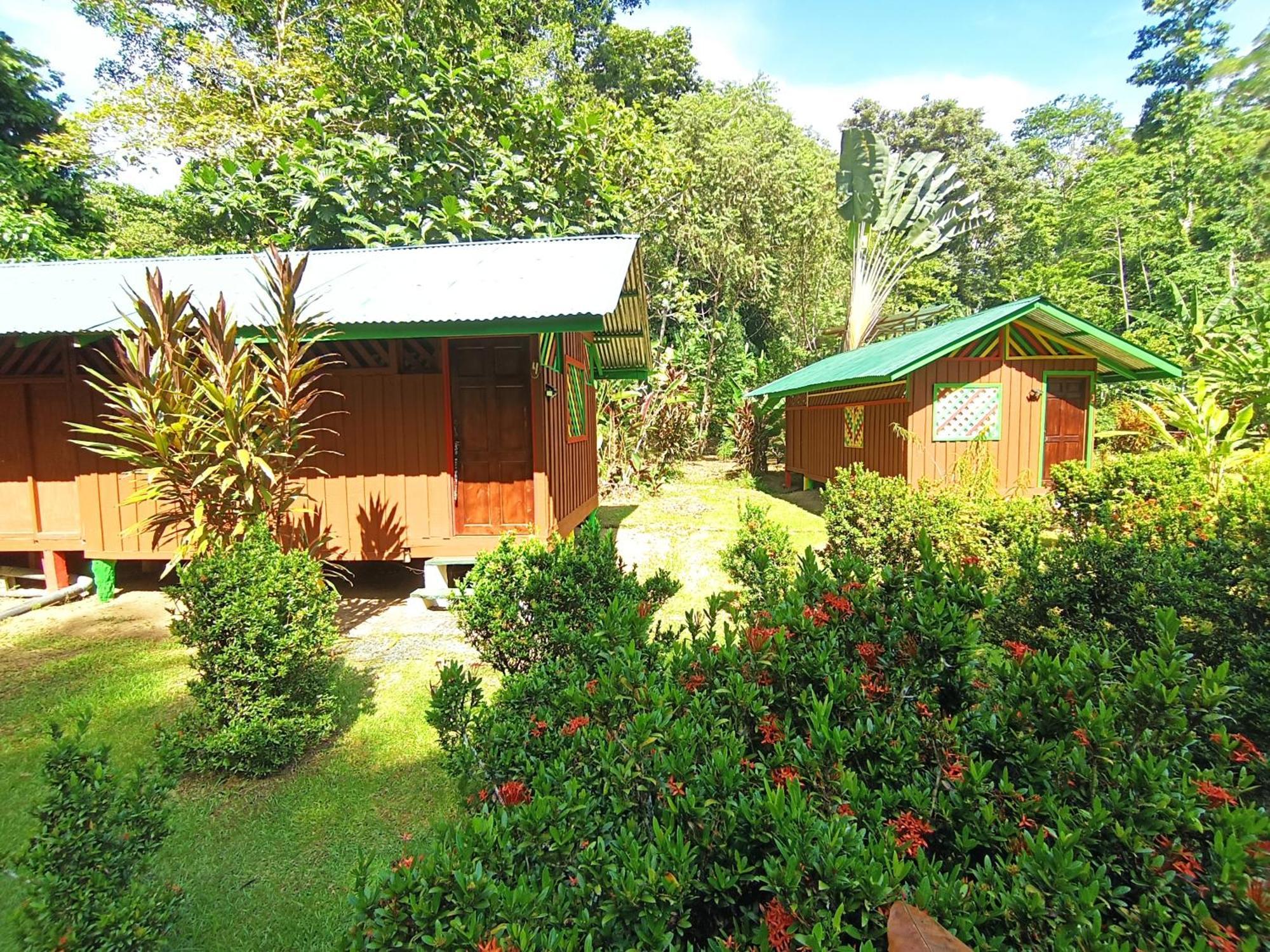 Lodge Alouatta And Canopy *