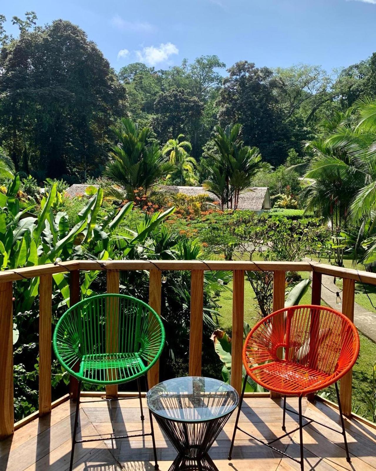 La Rana De Lodge