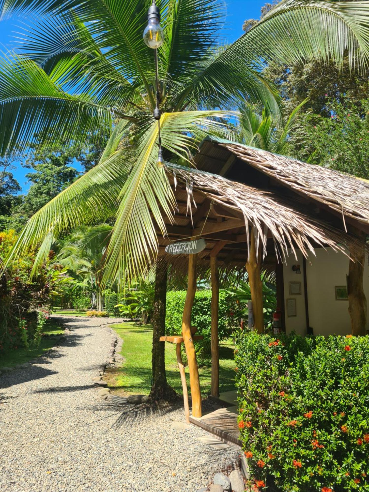 Lodge La Rana De Cahuita