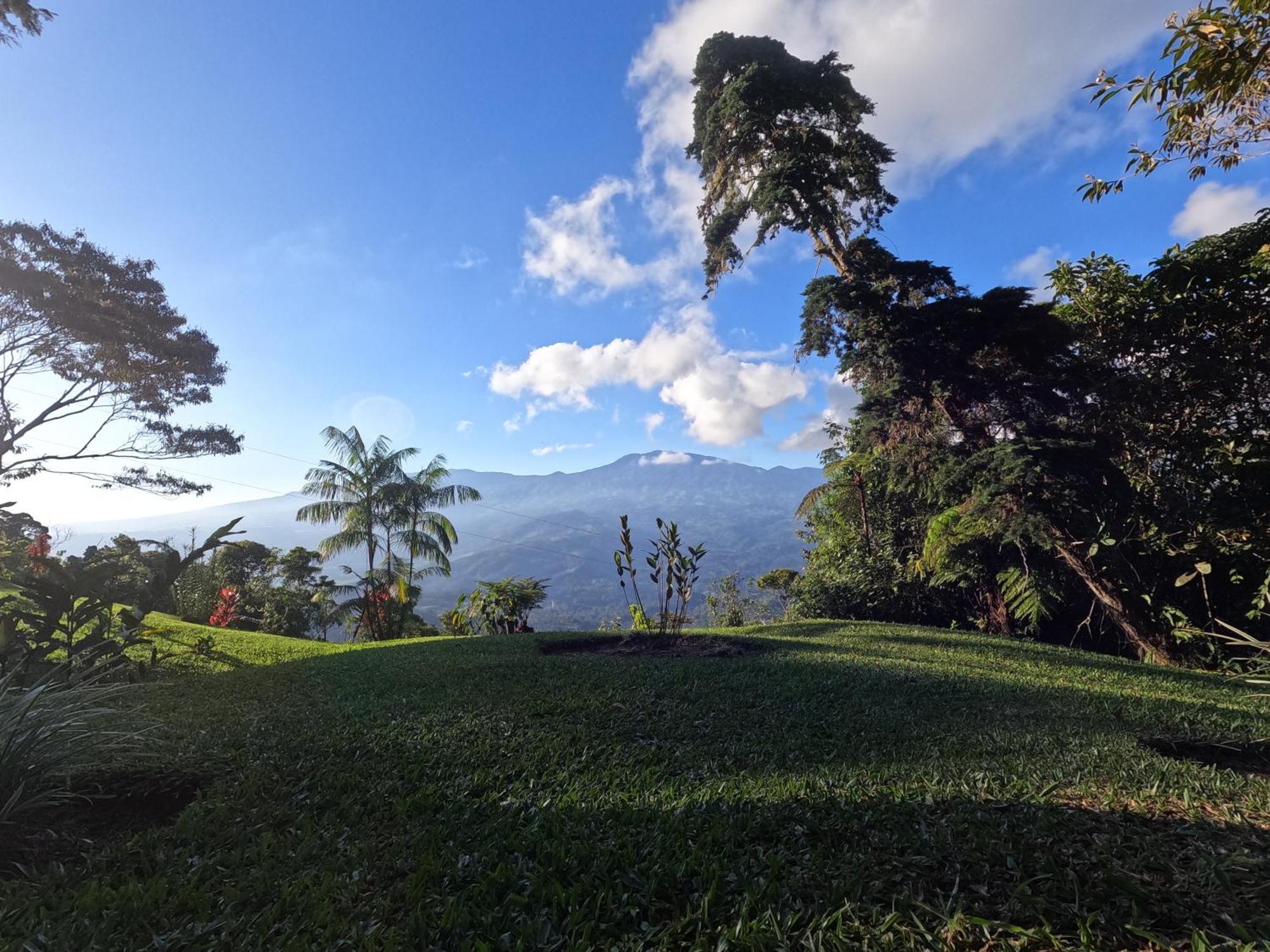 Reventazon River Mountain Ranch Bed & Breakfast *