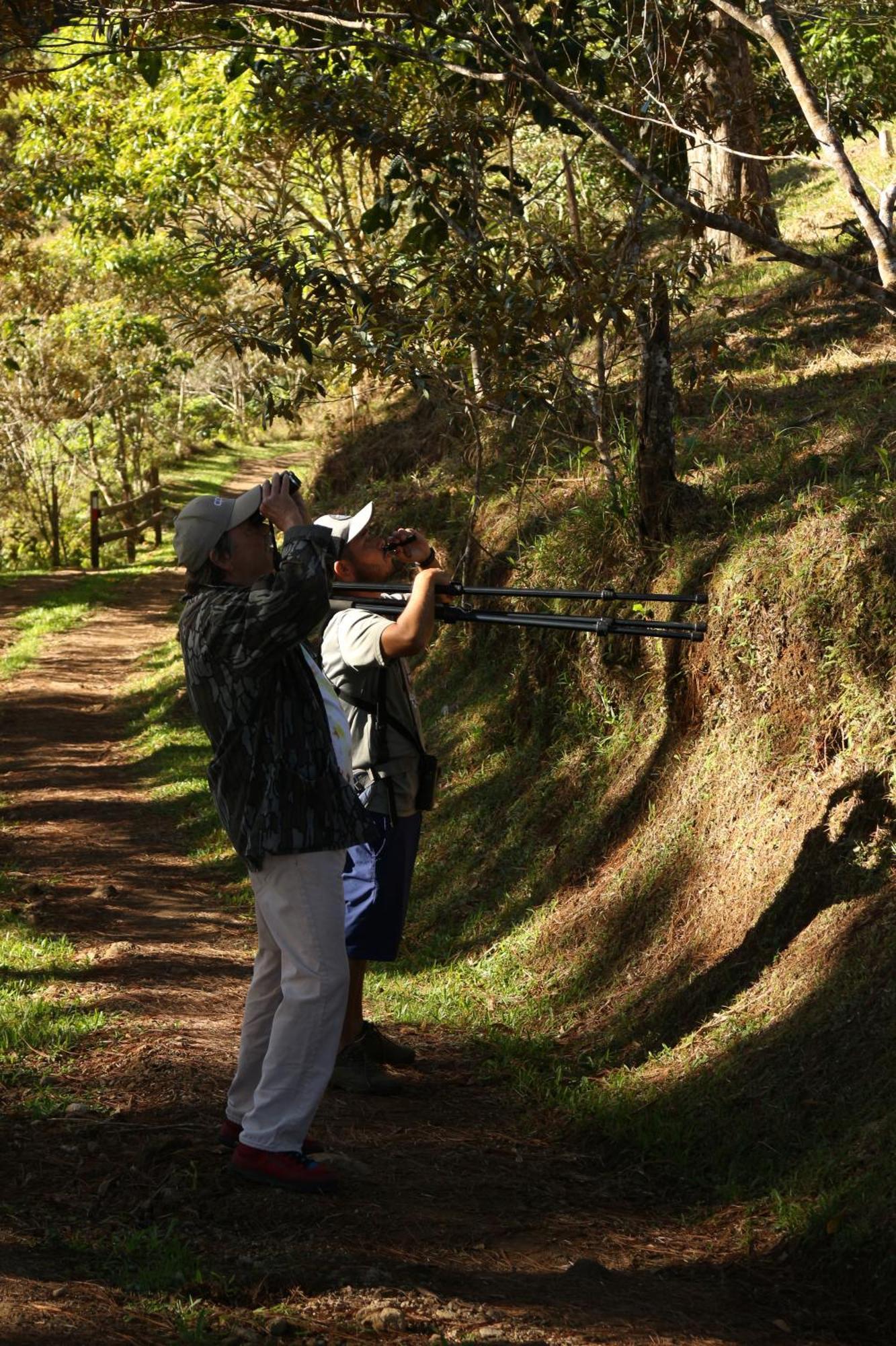 Reventazon River Mountain Ranch Turrialba