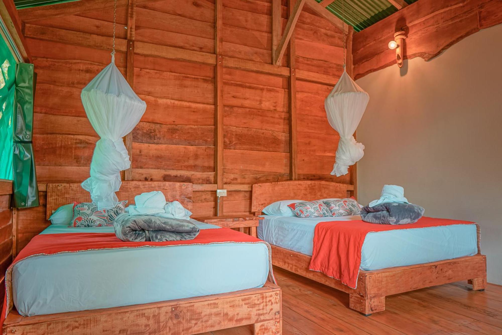 Lodge La Tigra Rainforest