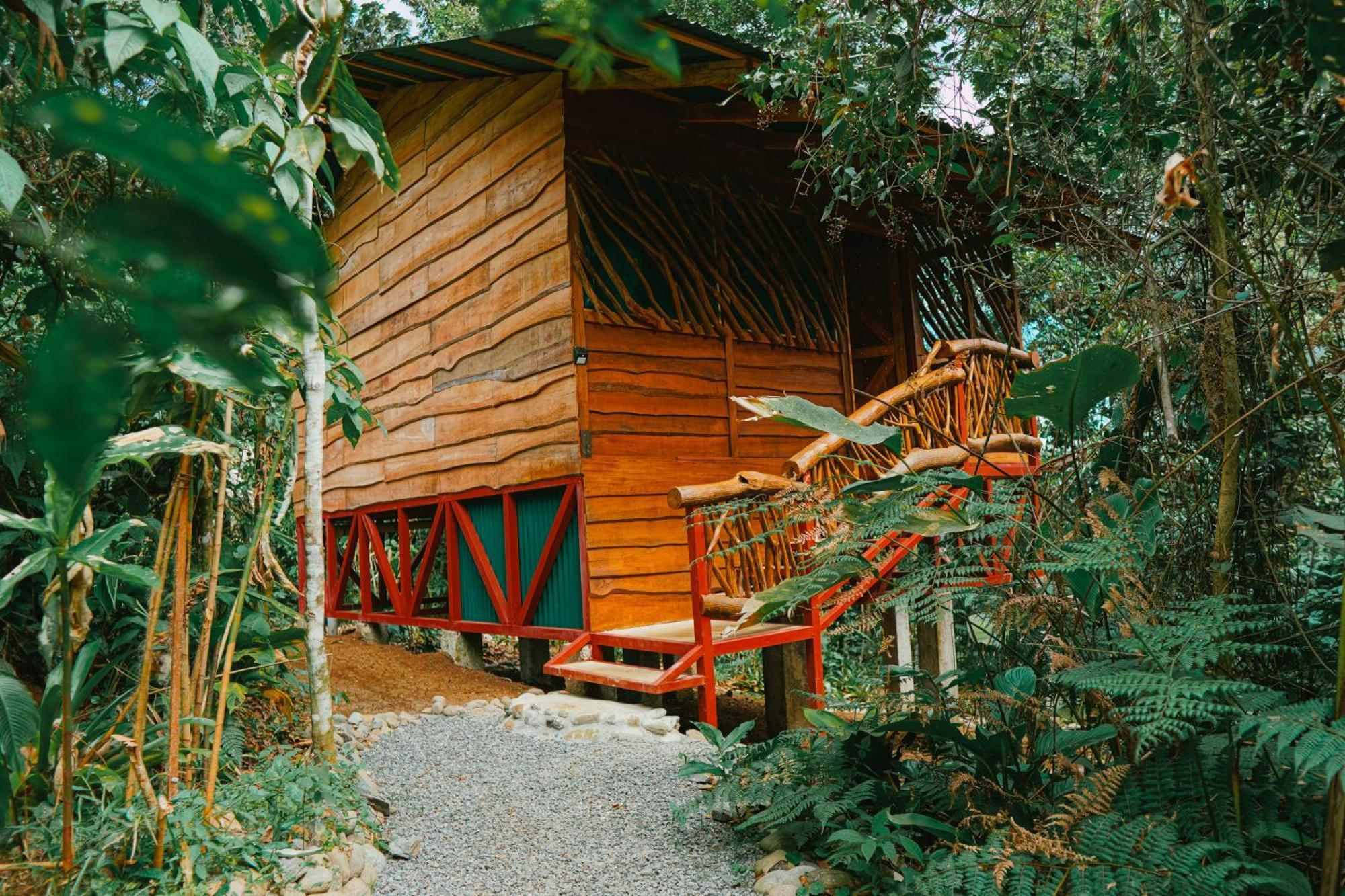 La Tigra Rainforest Lodge