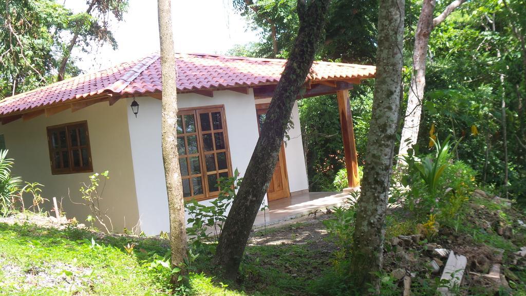 Casa Iguana