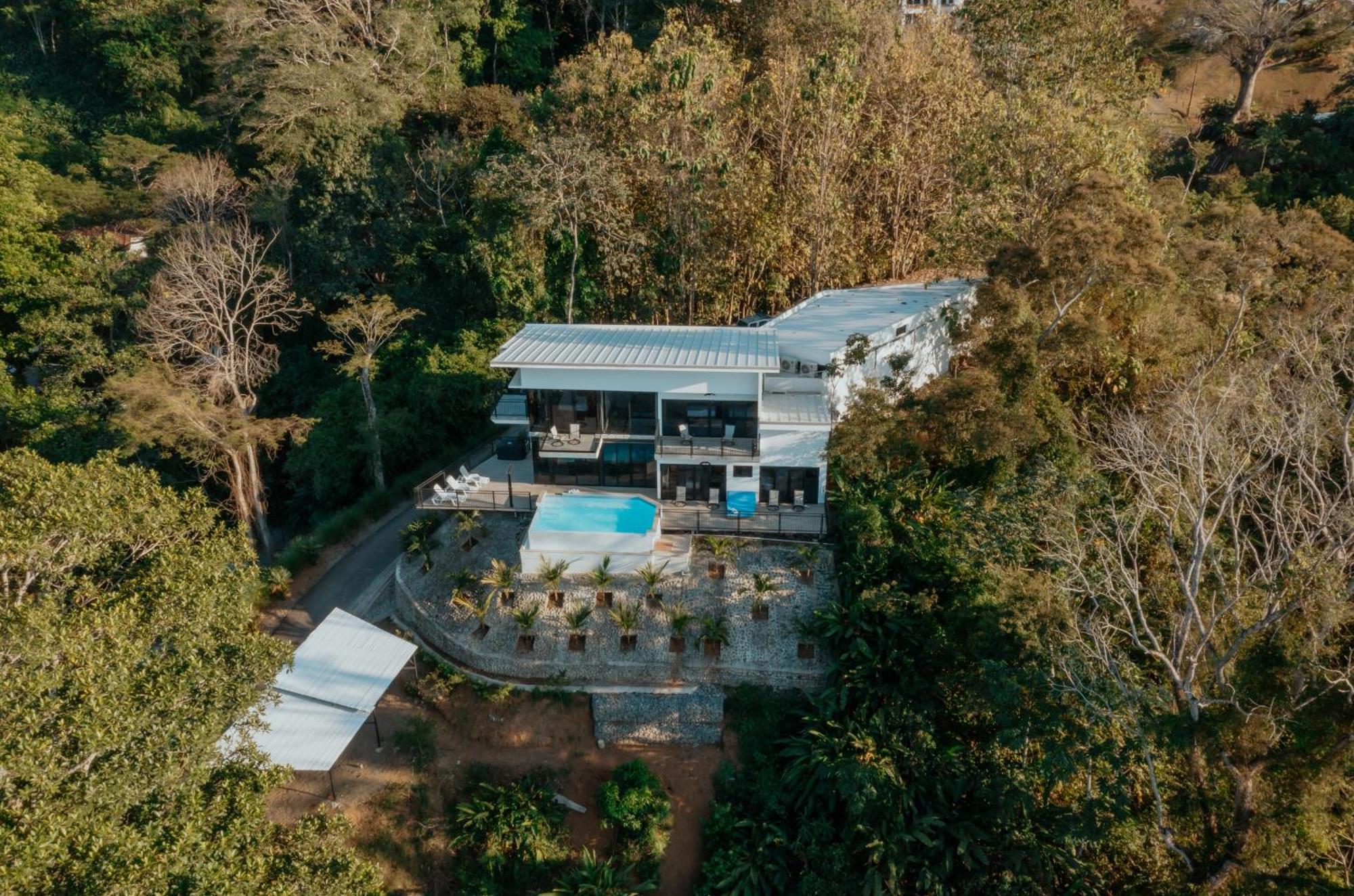 Vida Palace Villa