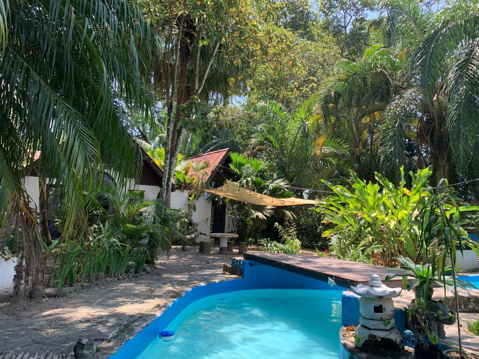 Hotel Mandacaru Puerto Viejo Puerto Viejo de Talamanca