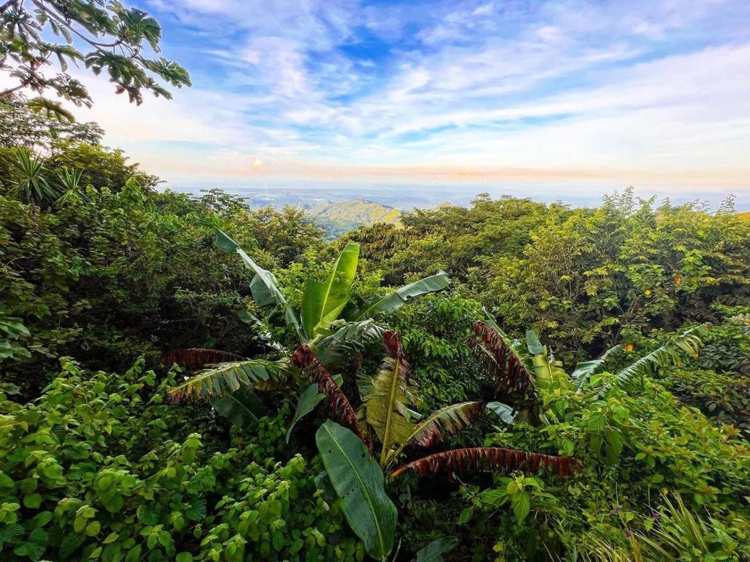 Domos Mirador Romantic Private Honeymoon Glamping Resort Miramar