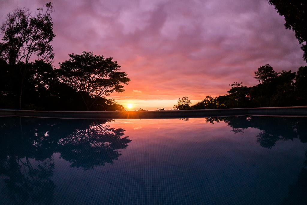 Bed & Breakfast Tree Of Life Cabinas Dominical