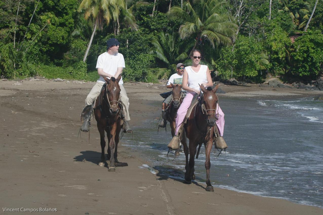 Tapirus Playa Drake Bay