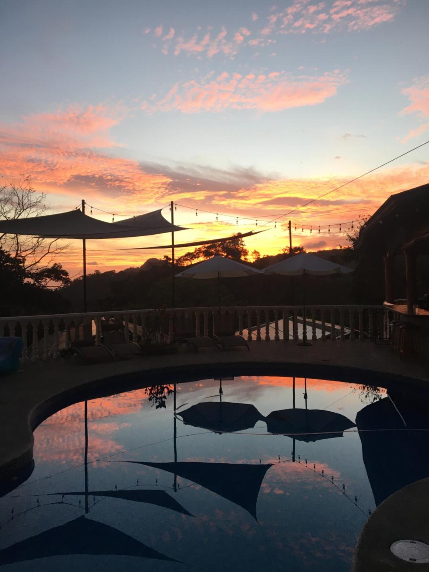 Lodge Mango Tree Coronado